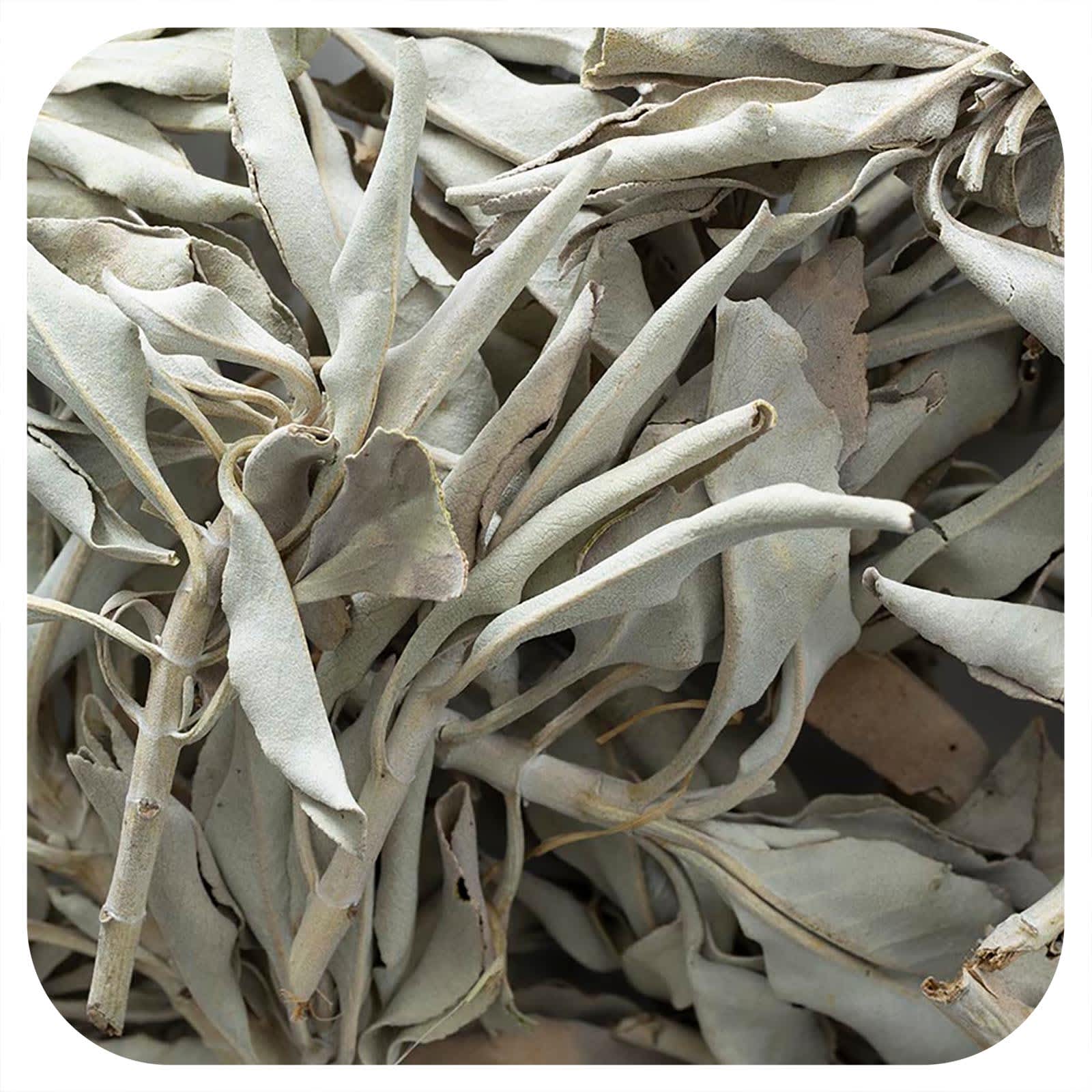 Frontier Co-op-White Sage Incense-Whole-8 oz (226 g)