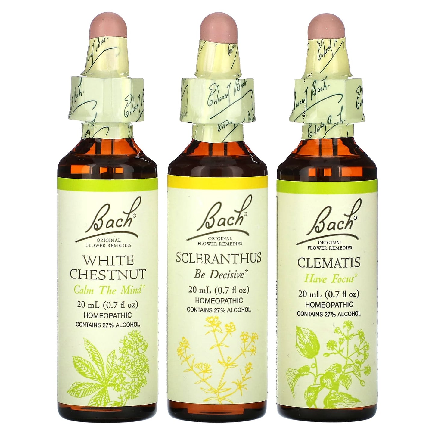 Bach, Clarity of Mind Focus Kit, 3 Droppers, 0.7 fl oz (20 ml) Each