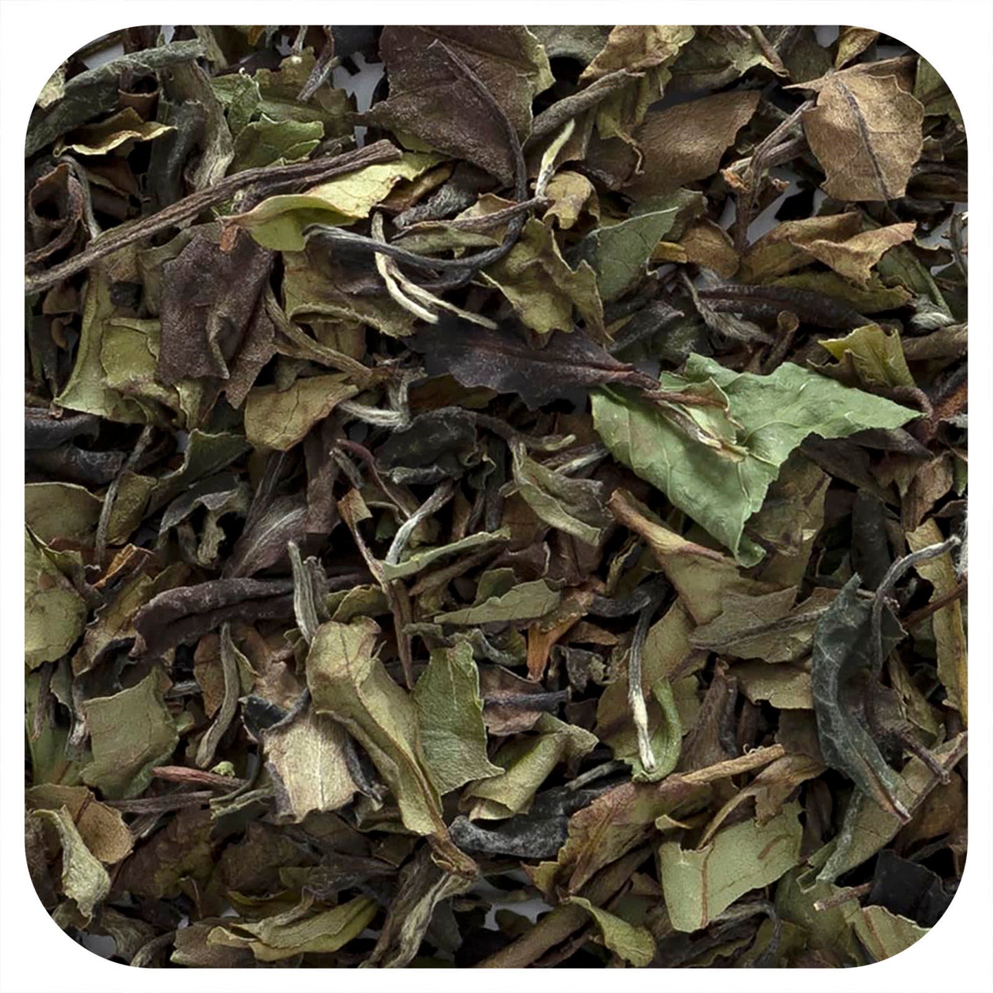 Frontier Co-op-Organic White Peony White Tea-16 oz (453 g)