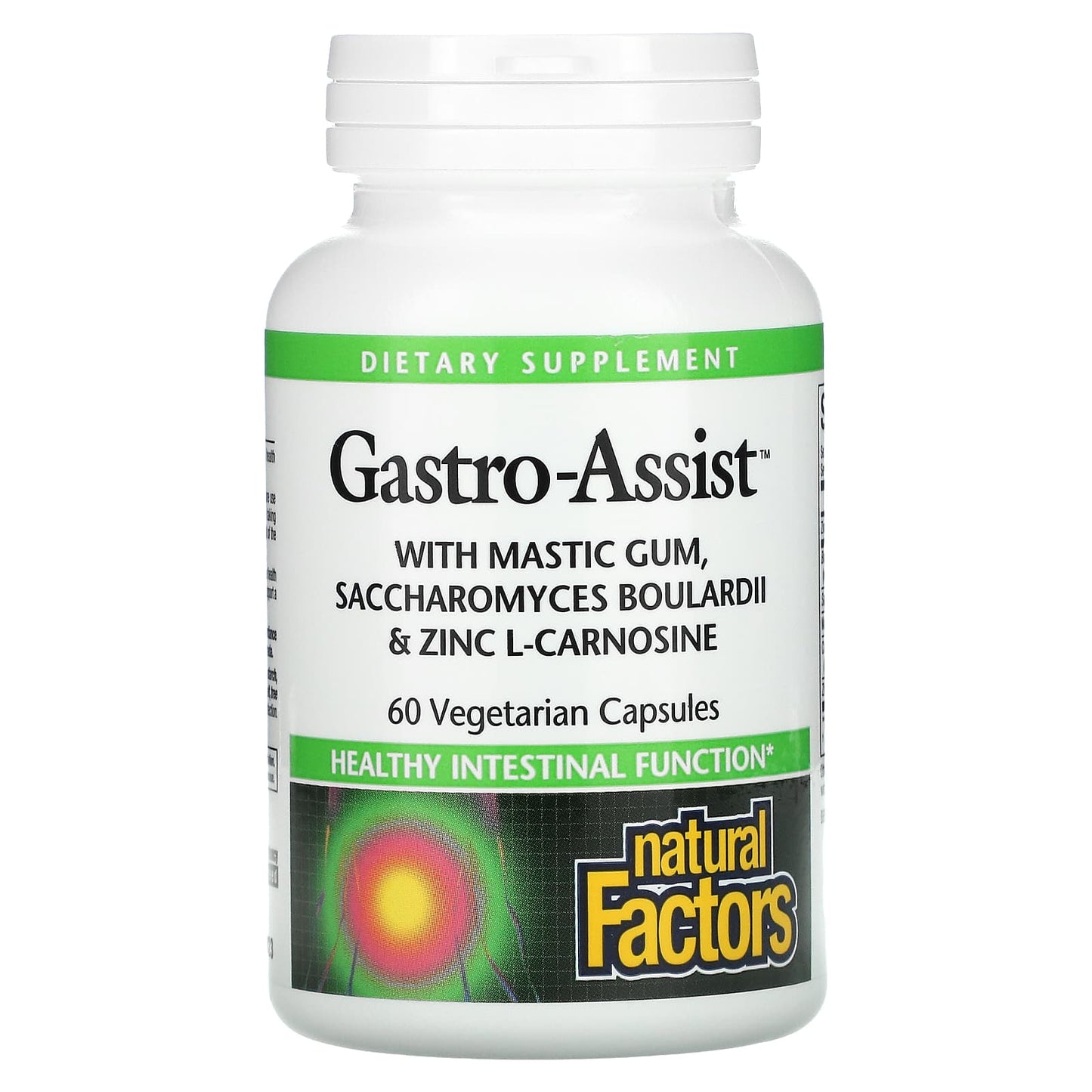 Natural Factors-Gastro-Assist with Mastic Gum-Saccharomyces Boulardii & Zinc L-Carnosine-60 Vegetarian Capsules