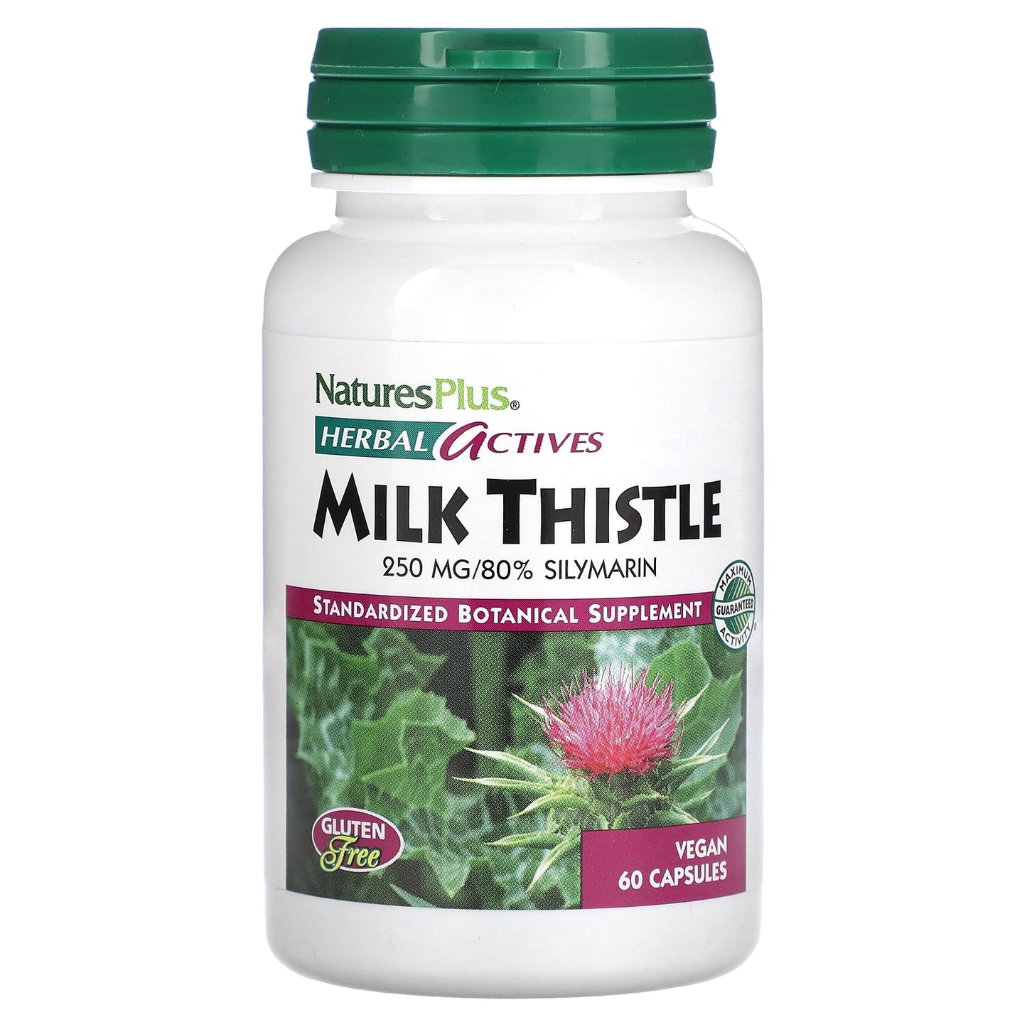 NaturesPlus-Herbal Actives-Milk Thistle-250 mg-60 Vegan Capsules