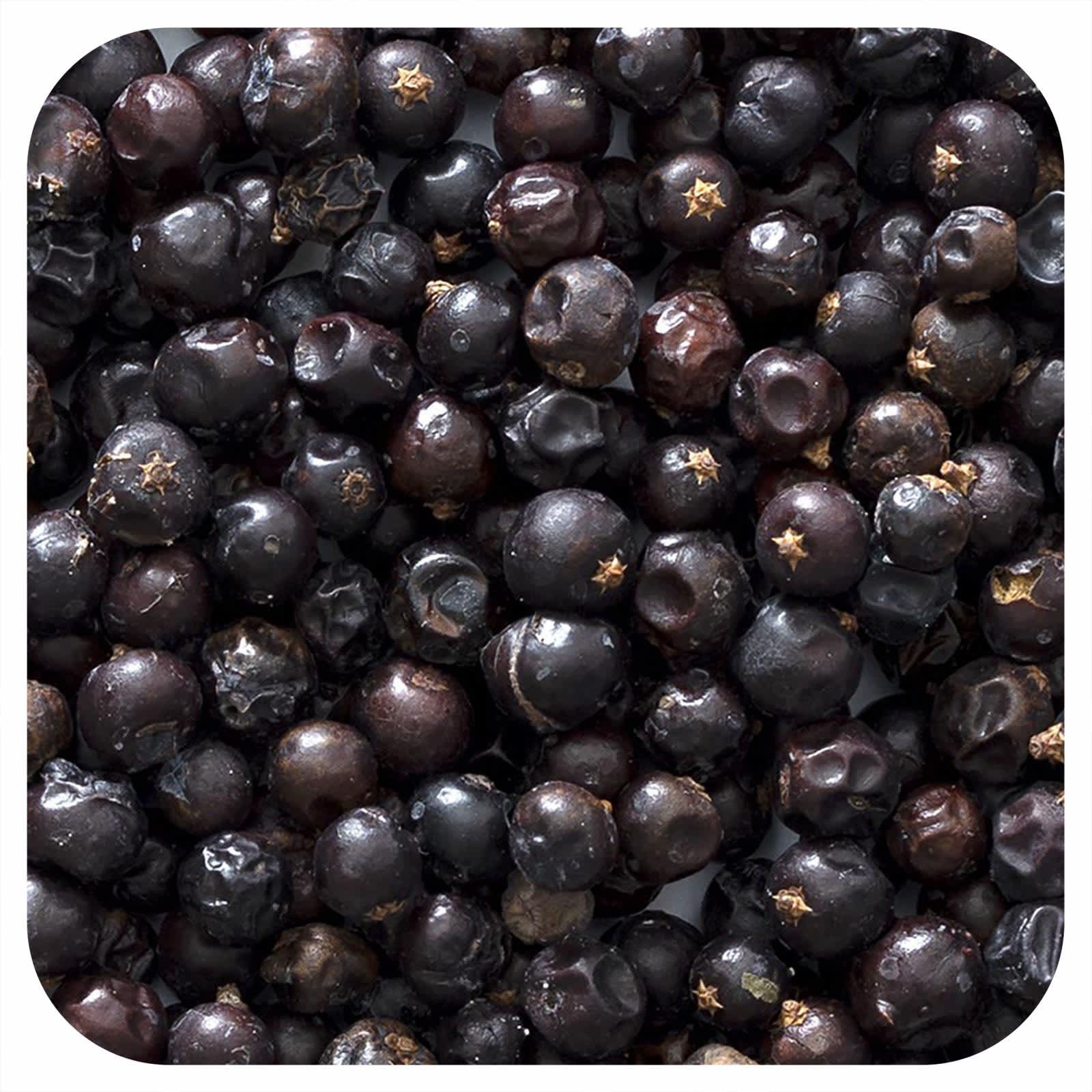 Frontier Co-op-Whole Juniper Berries-16 oz (453 g)