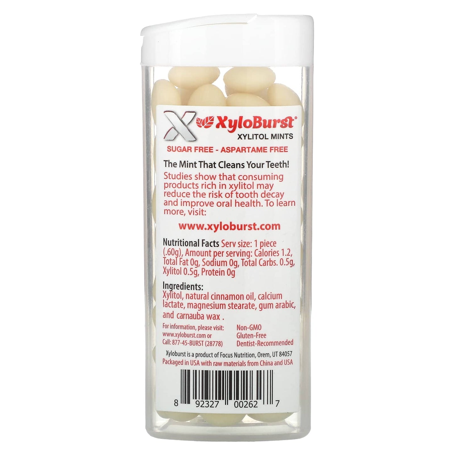 Xyloburst, Xylitol Sweetened Mints, Cinnamon, 60 Pieces