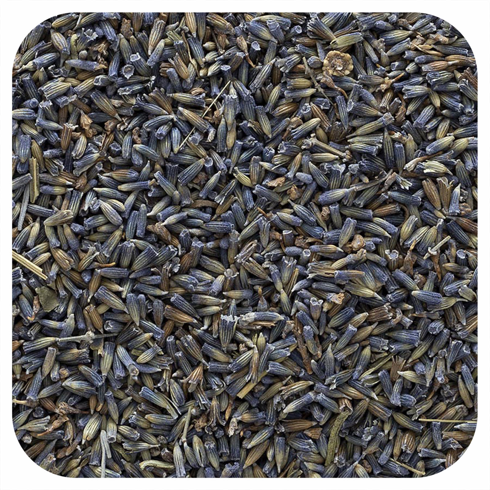 Frontier Co-op-Whole Lavender Flowers-16 oz (453 g)