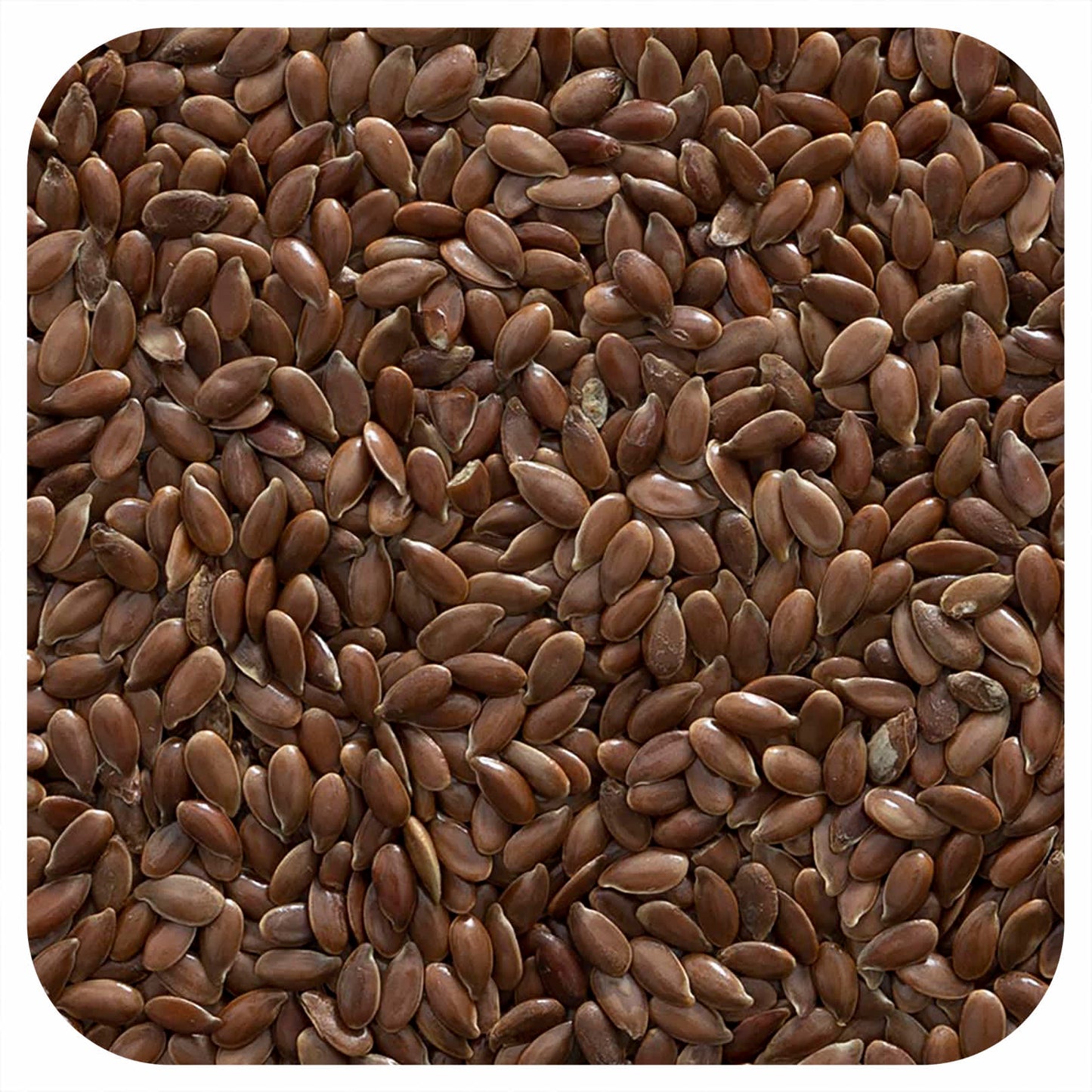 Frontier Co-op-Organic Whole Flax Seed-16 oz (453 g)