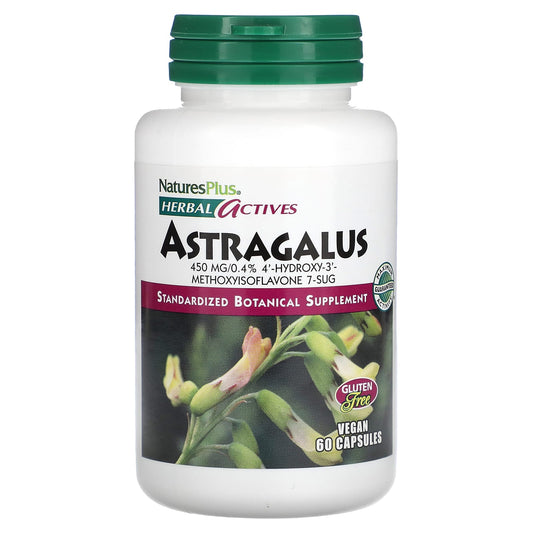 NaturesPlus-Herbal Actives-Astragalus-450 mg-60 Vegan Capsules