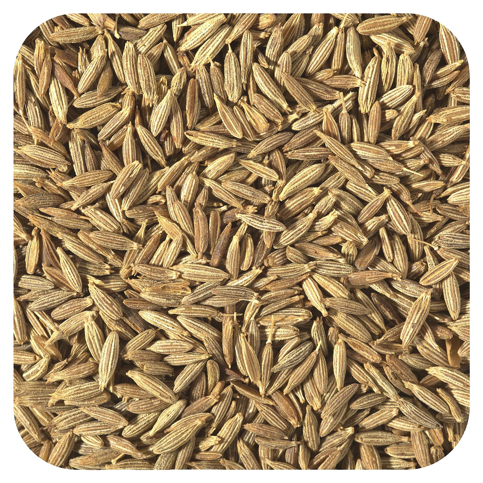 Starwest Botanicals-Organic Cumin Seed-1 lb (453.6 g)