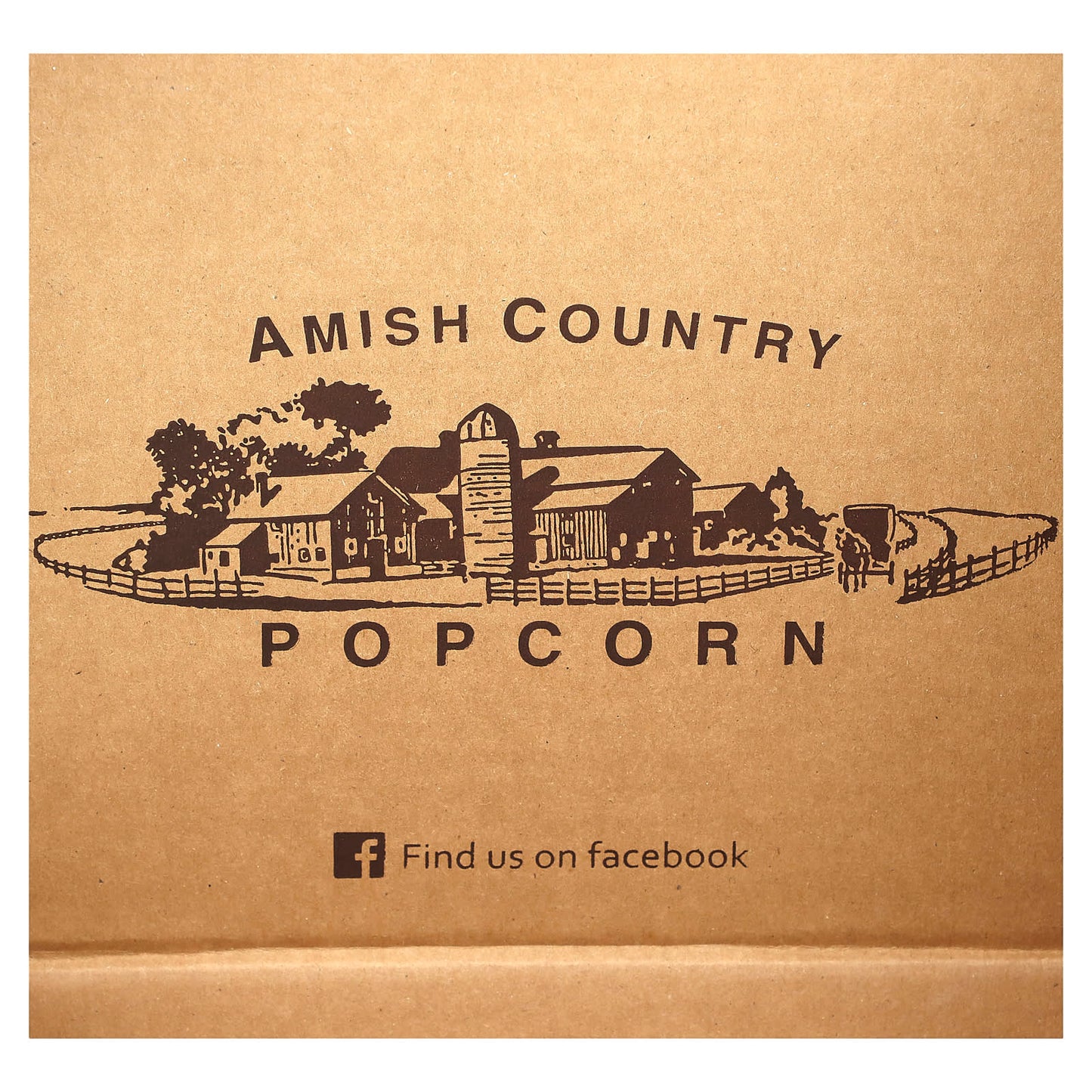 Amish Country Popcorn-Silicone Microwave Popcorn Popper-Grey-4 Pieces