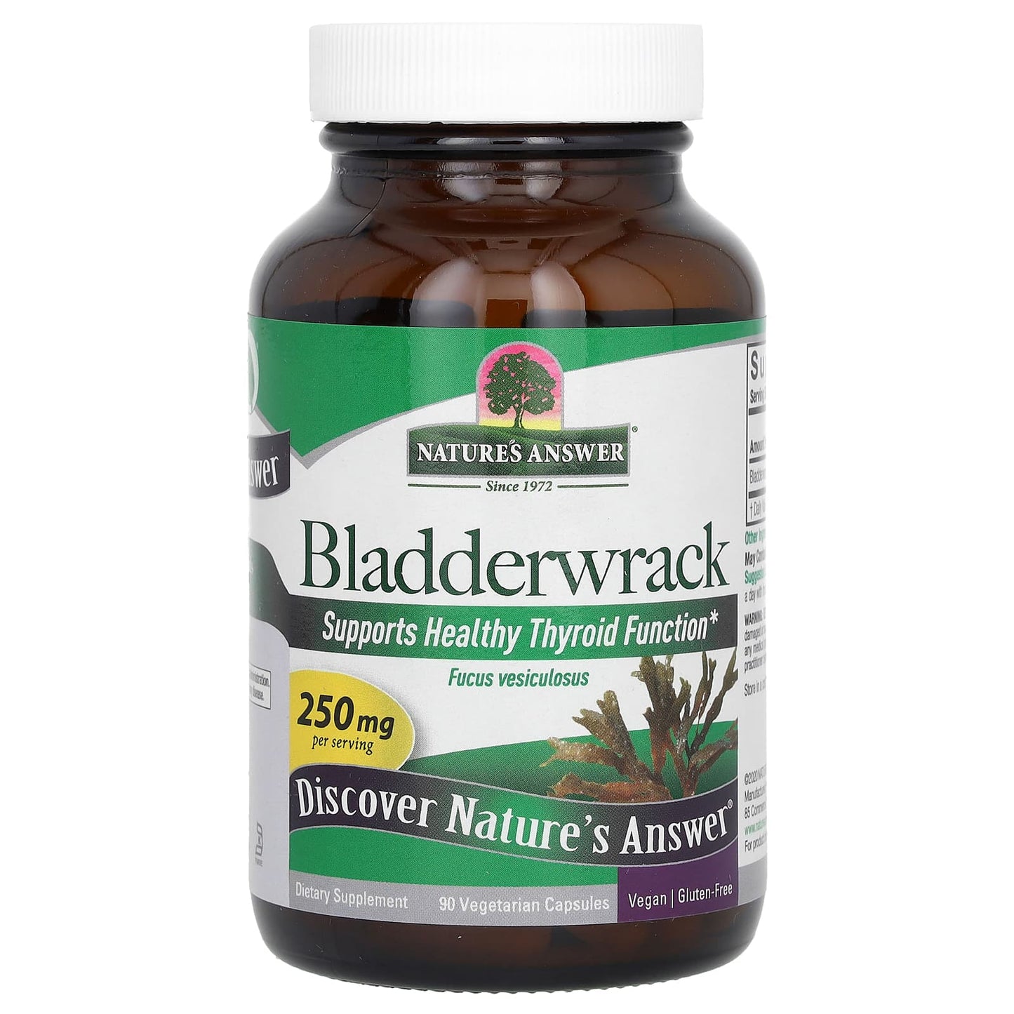 Nature's Answer, Bladderwrack, 250 mg, 90 Vegetarian Capsules