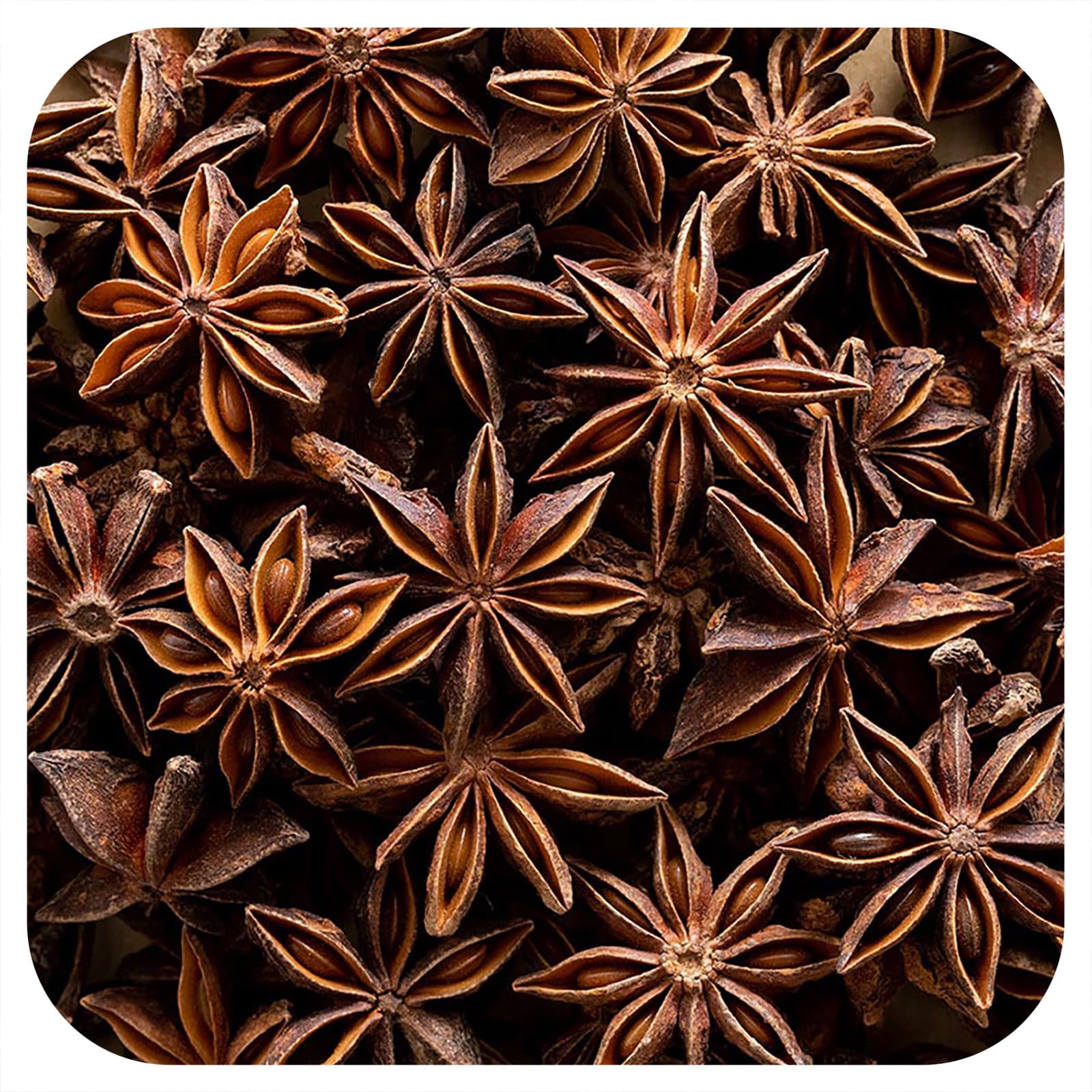 Frontier Co-op-Organic Whole Star Anise Select-16 oz (453 g)