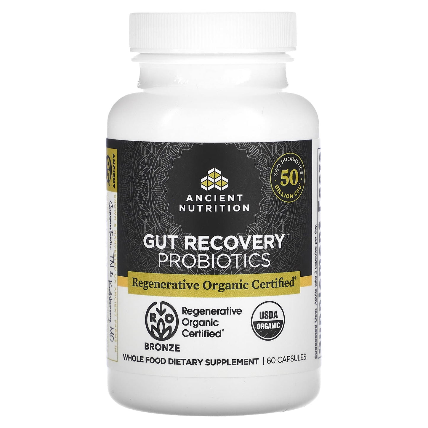 Ancient Nutrition, Gut Recovery Probiotics, 25 Billion CFU, 60 Capsules