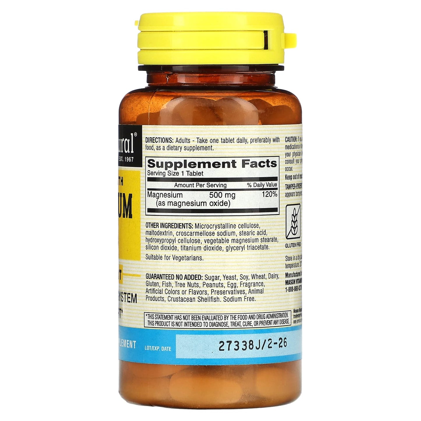 Mason Natural, Magnesium, Extra Strength, 500 mg, 100 Tablets