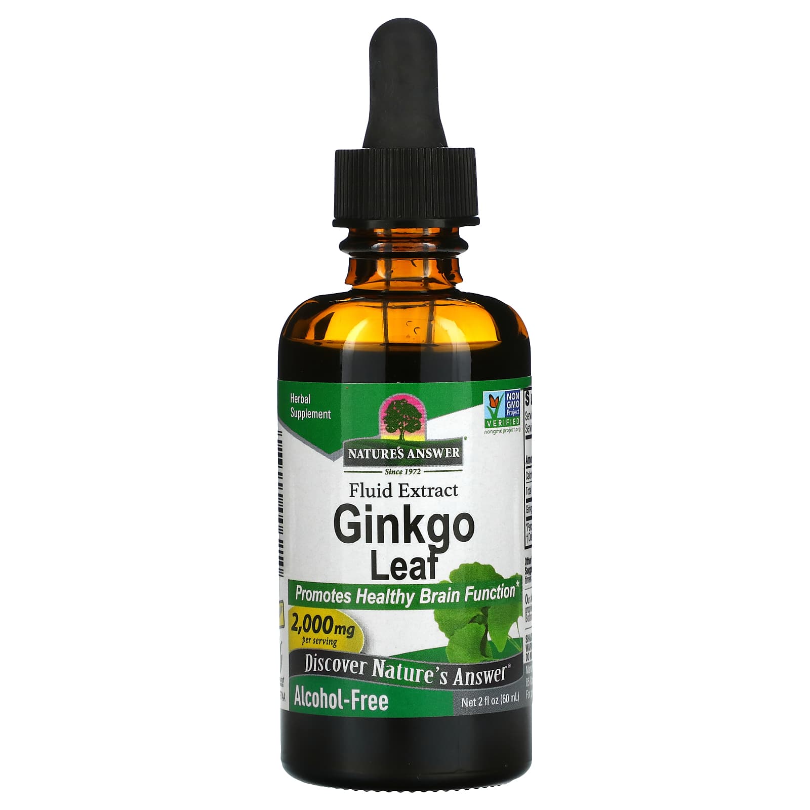 Nature's Answer-Ginkgo Leaf-Fluid Extract-Alcohol-Free-2,000 mg-2 fl oz (60 ml) (1,000 mg per ml)