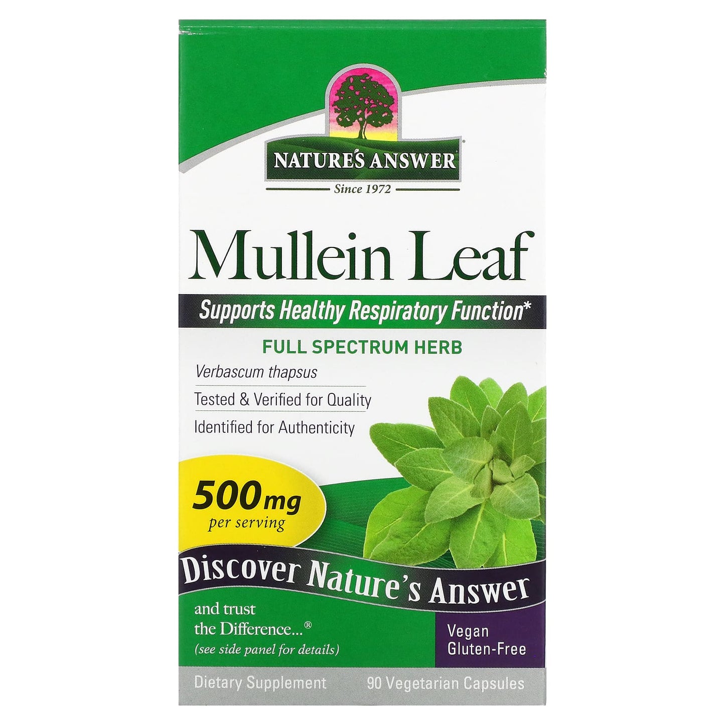 Nature's Answer-Mullein Leaf-500 mg-90 Vegetarian Capsules