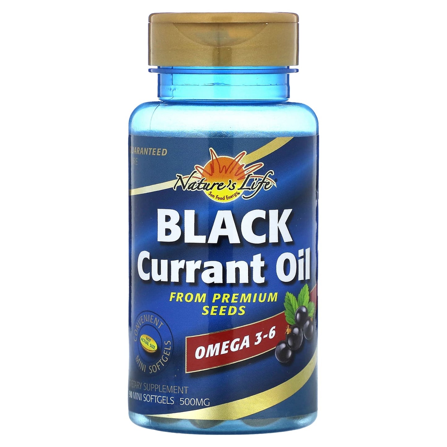 Nature's Life-Black Currant Oil-500 mg-90 Mini Softgels