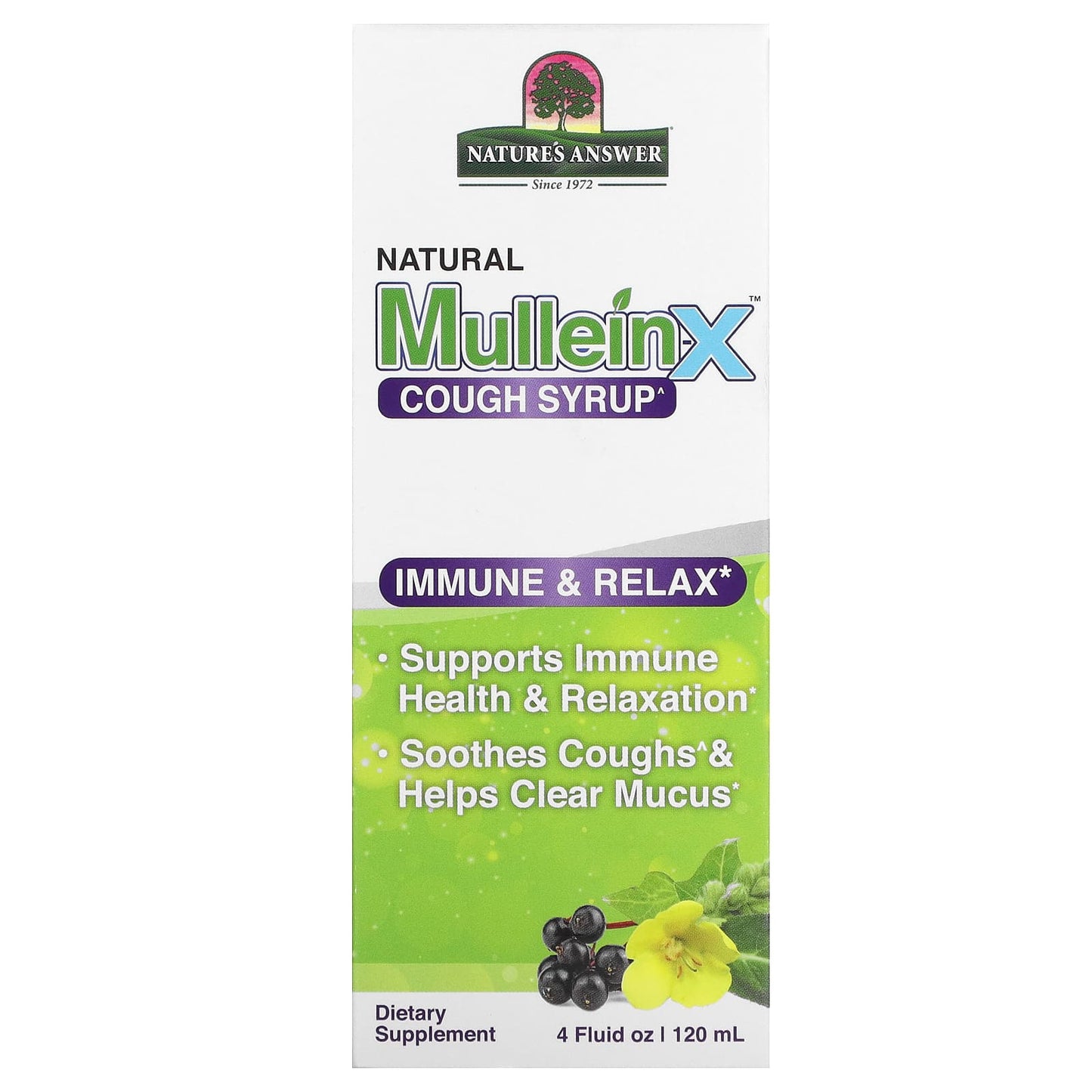 Nature's Answer-Natural Mullein X Cough Syrup-4 fl oz (120 ml)