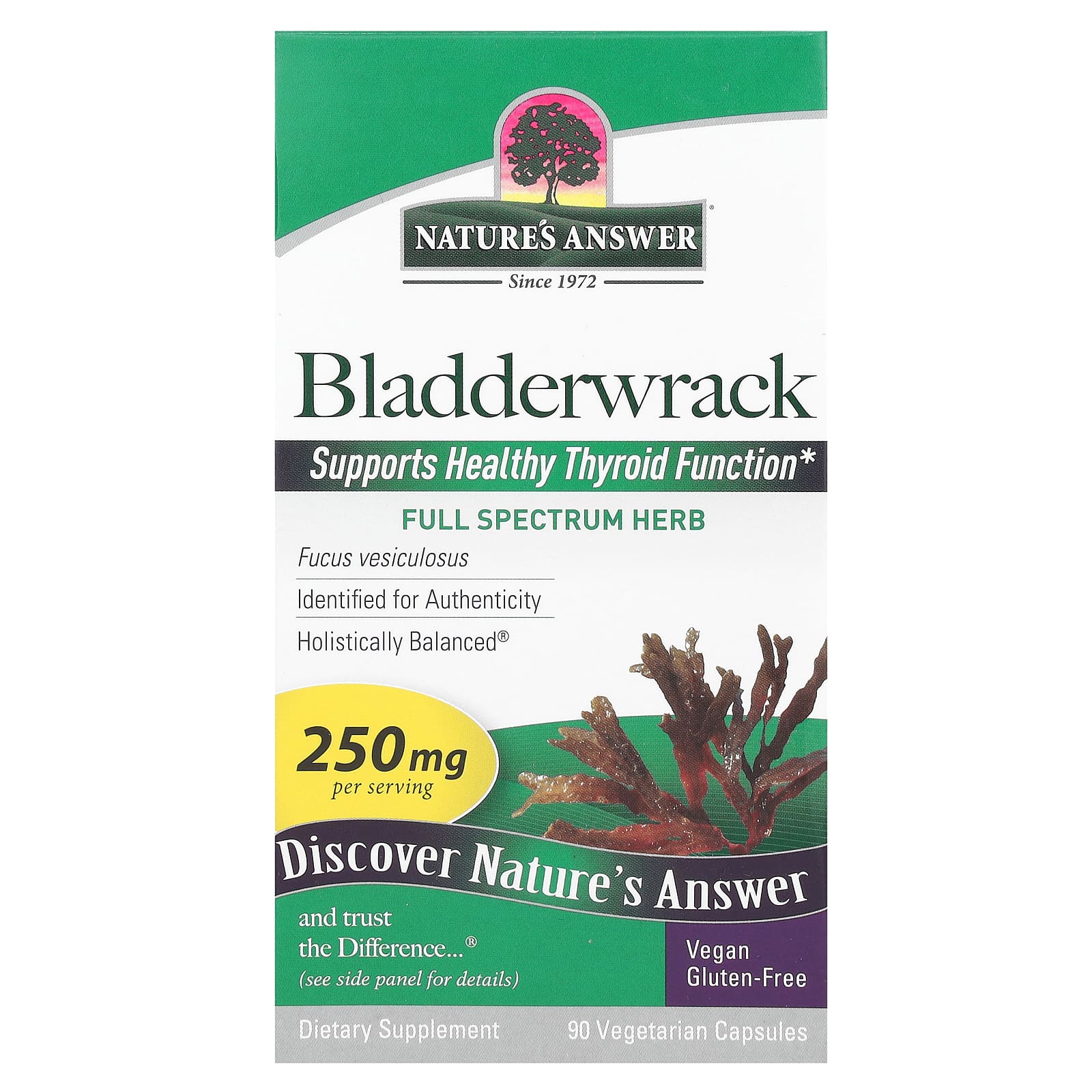 Nature's Answer-Bladderwrack-250 mg-90 Vegetarian Capsules