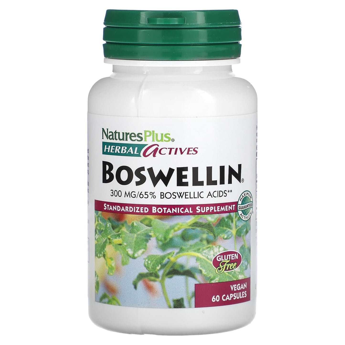 NaturesPlus-Herbal Actives-Boswellin-300 mg-60 Vegan Capsules