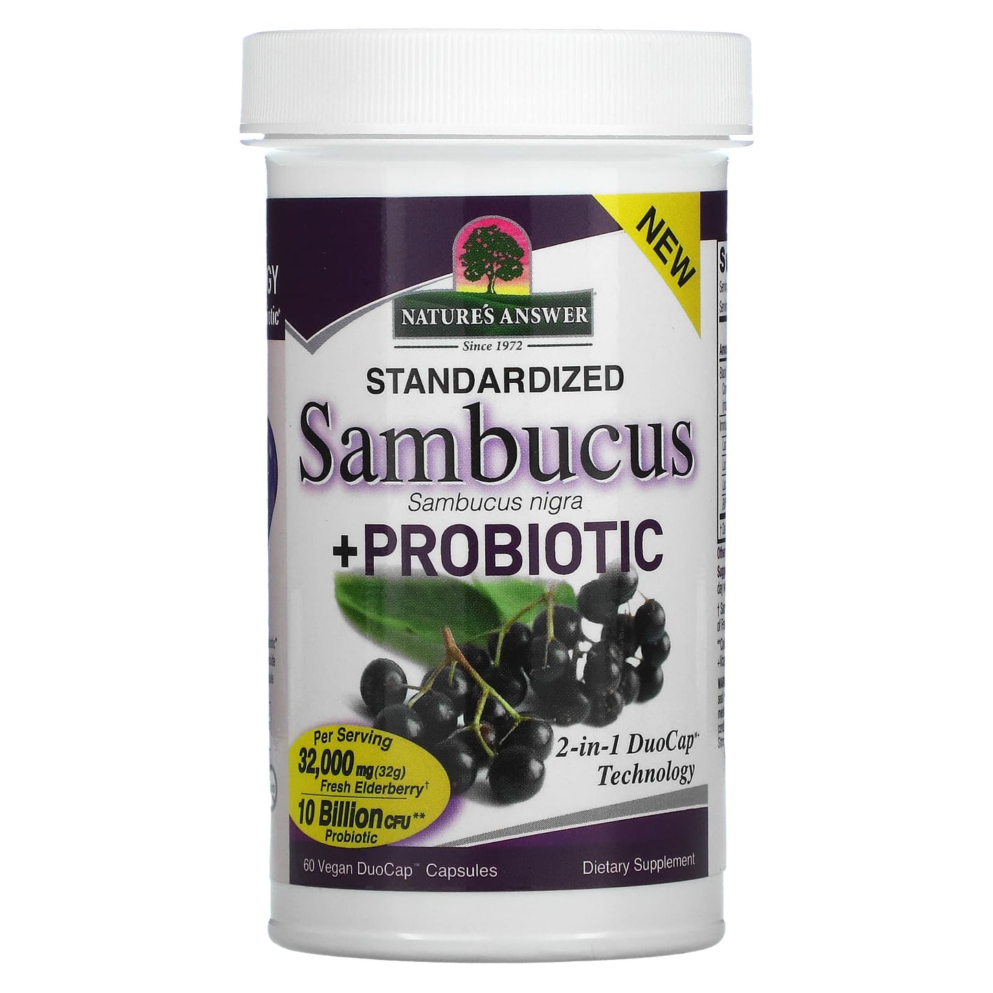 Nature's Answer, Sambucus + Probiotic, 60 Vegan DuoCap Capsules