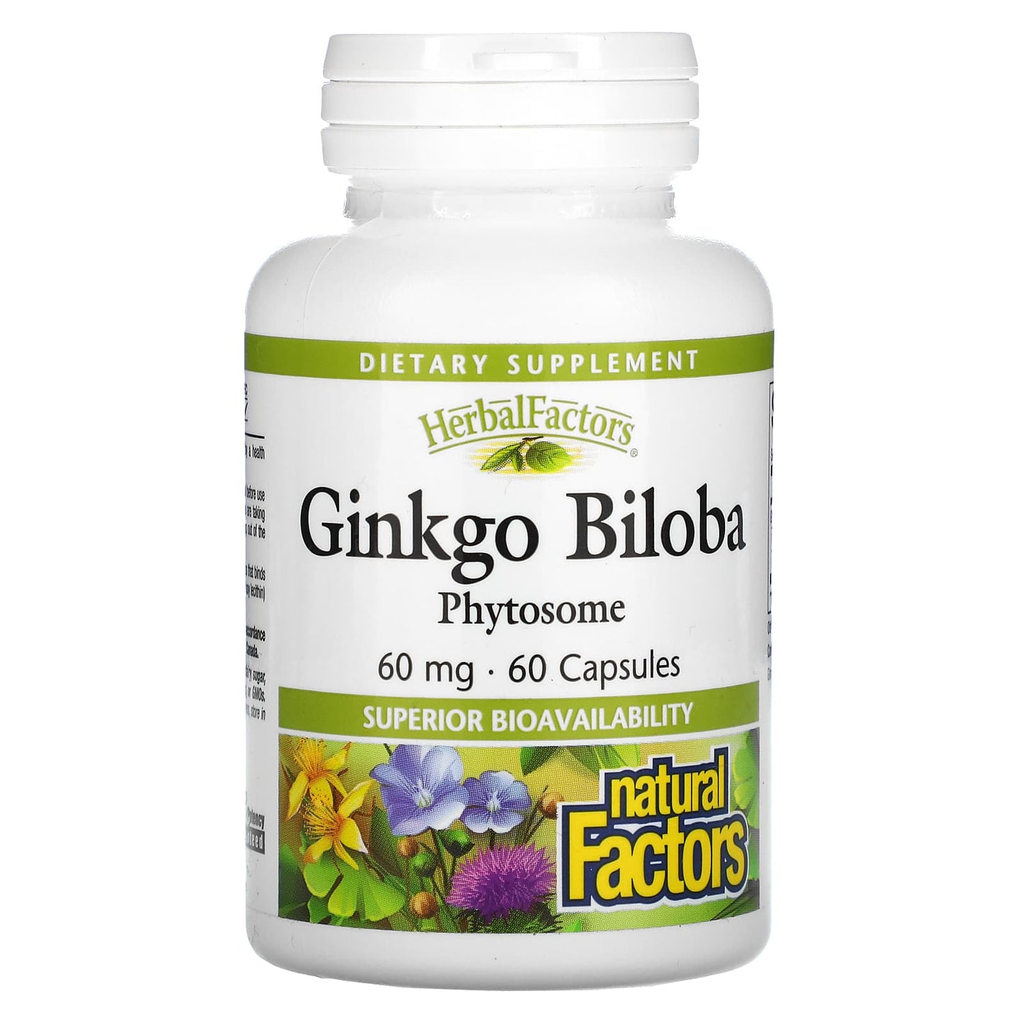 Natural Factors-Ginkgo Biloba-Phytosome-60 mg-60 Capsules