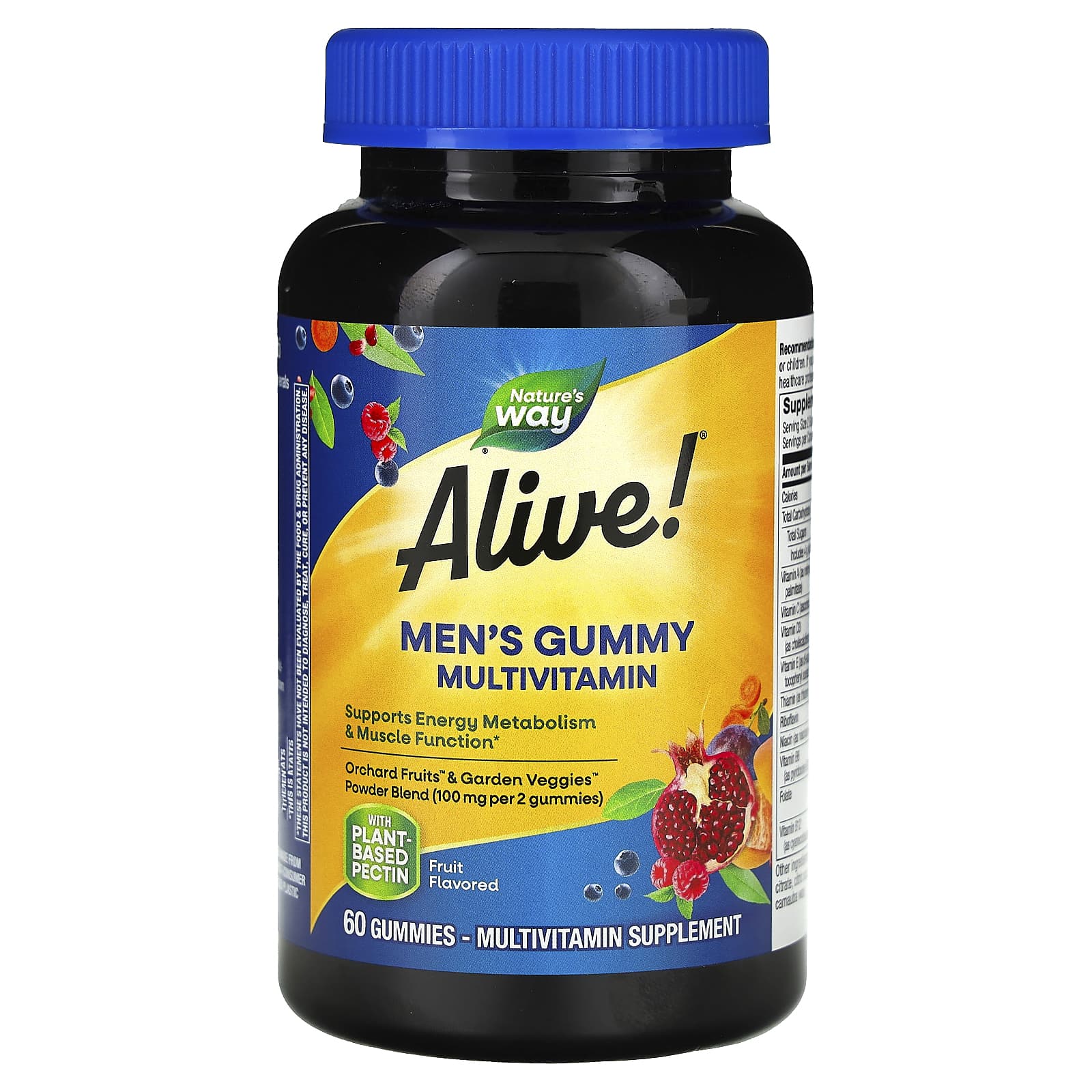 Nature's Way-Alive! Men's Gummy Multivitamin-Fruit-60 Gummies