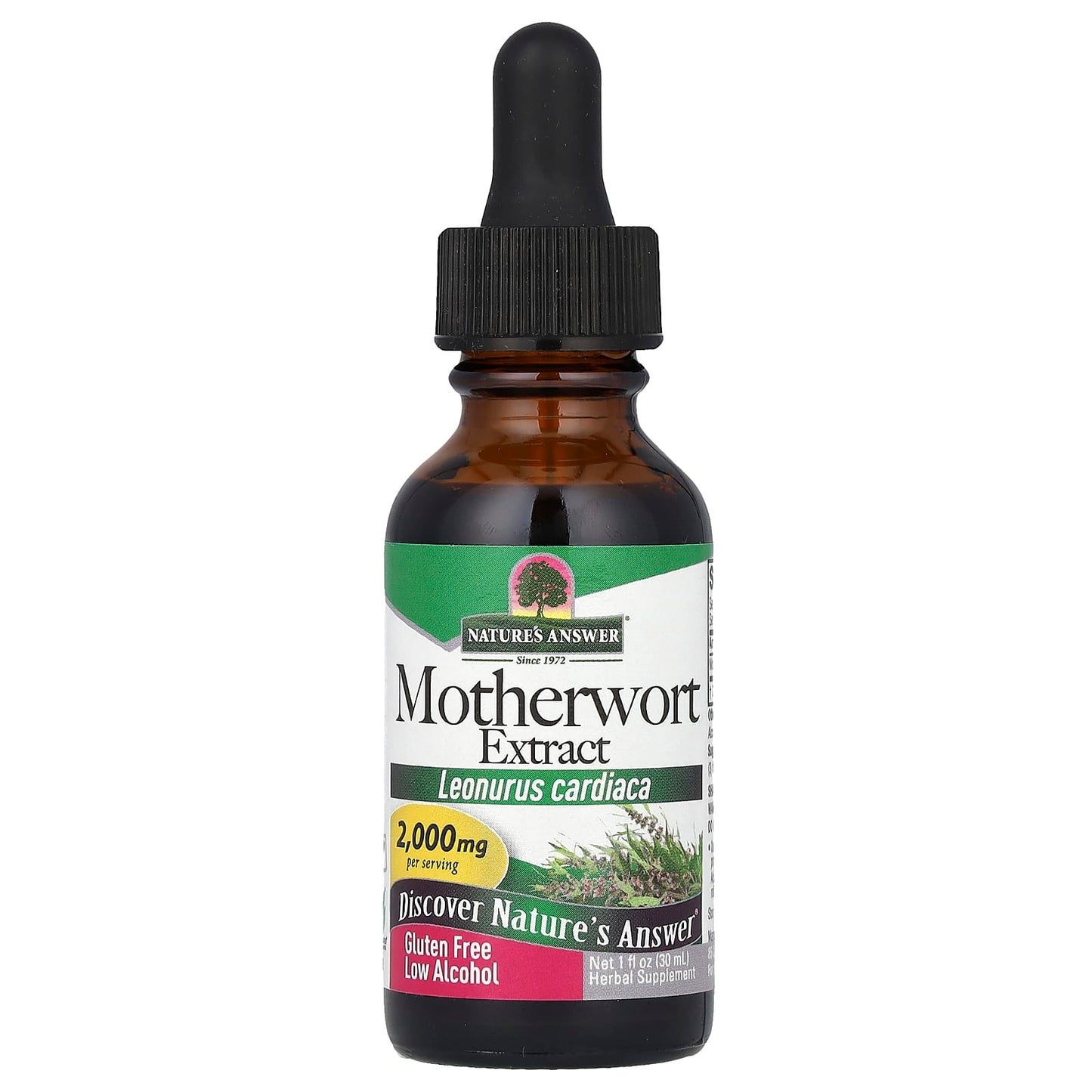 Nature's Answer-Motherwort Extract-2,000 mg-1 fl oz (30 ml)