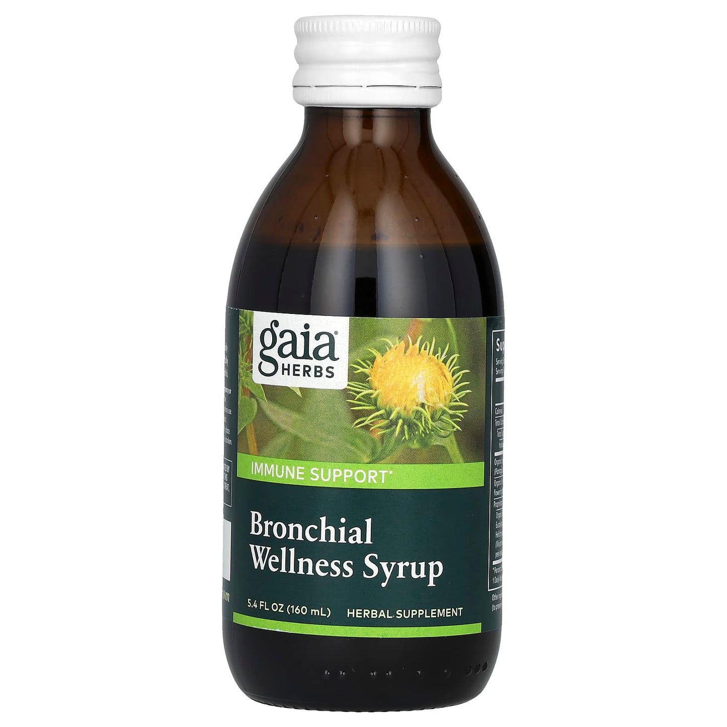 Gaia Herbs, Bronchial Wellness Syrup, 5.4 fl oz (160 ml)