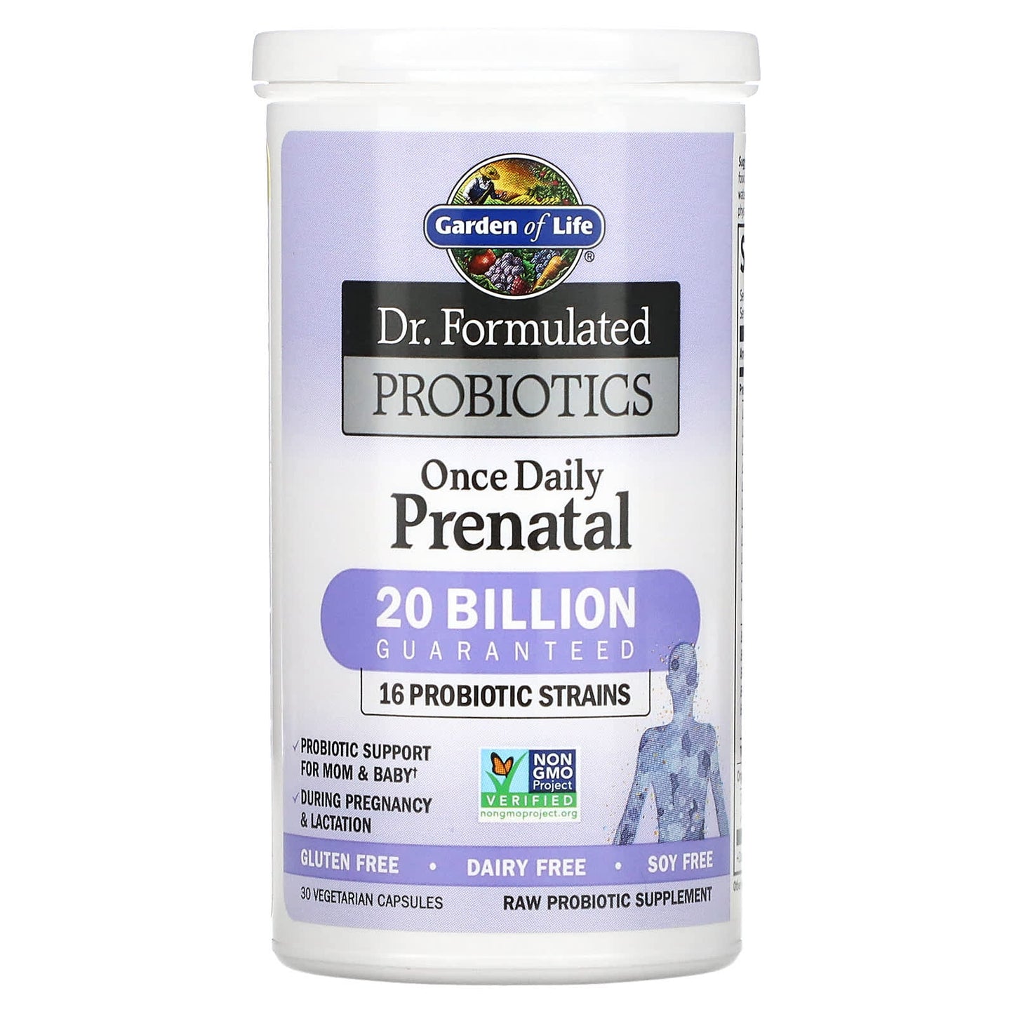 Garden of Life, Dr. Formulated Probiotics, Once Daily Prenatal (no refrigeration required), 30 Vegetarian Capsules