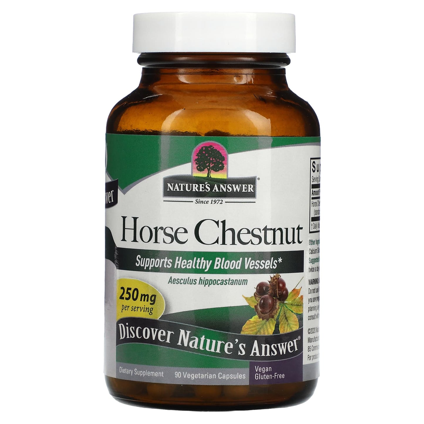 Nature's Answer, Horse Chestnut, 250 mg, 90 Vegetarian Capsules