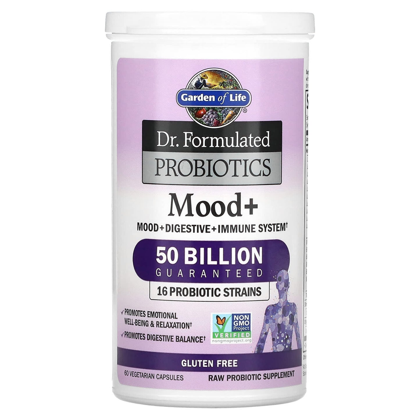 Garden of Life, Dr. Formulated Probiotics, Mood+, 60 Vegetarian Capsules