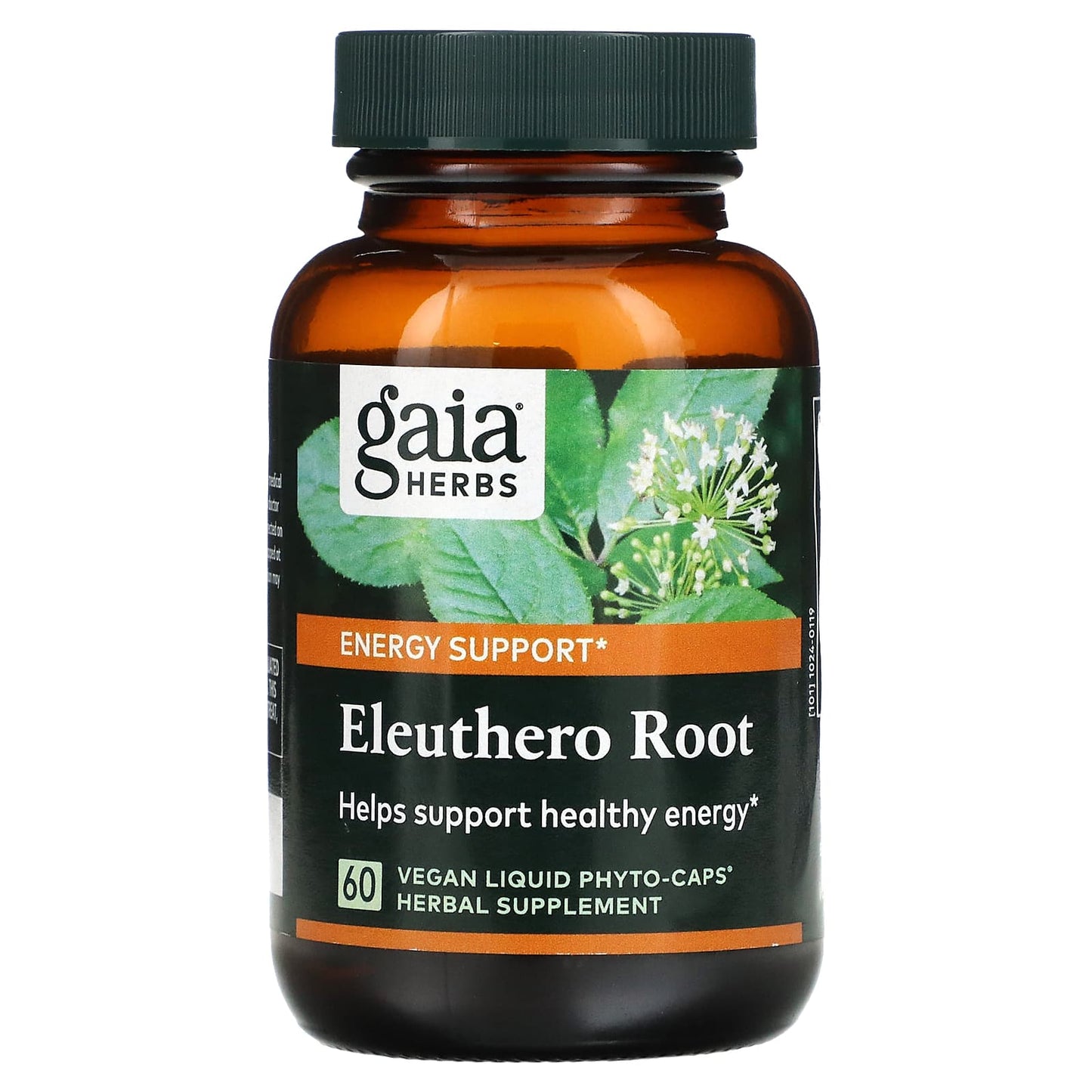 Gaia Herbs, Eleuthero Root, 60 Vegan Liquid Phyto-Caps