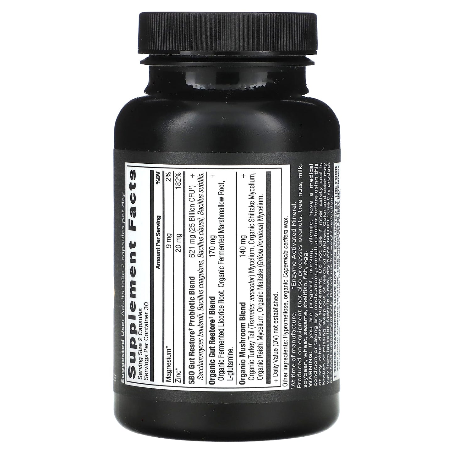 Ancient Nutrition, SBO Probiotics, 25 Billion CFU, 60 Capsules