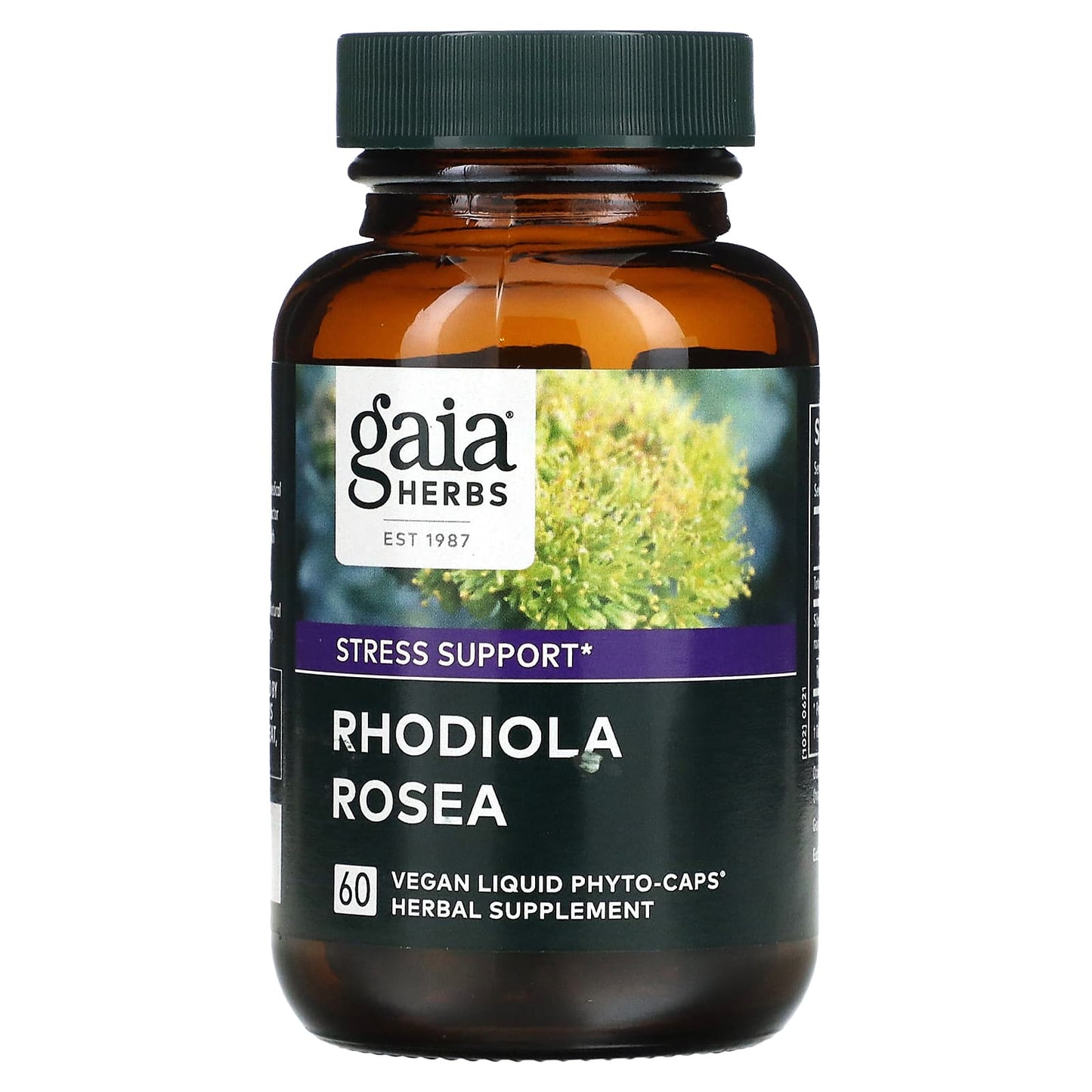 Gaia Herbs, Rhodiola Rosea, 60 Vegan Liquid Phyto-Caps