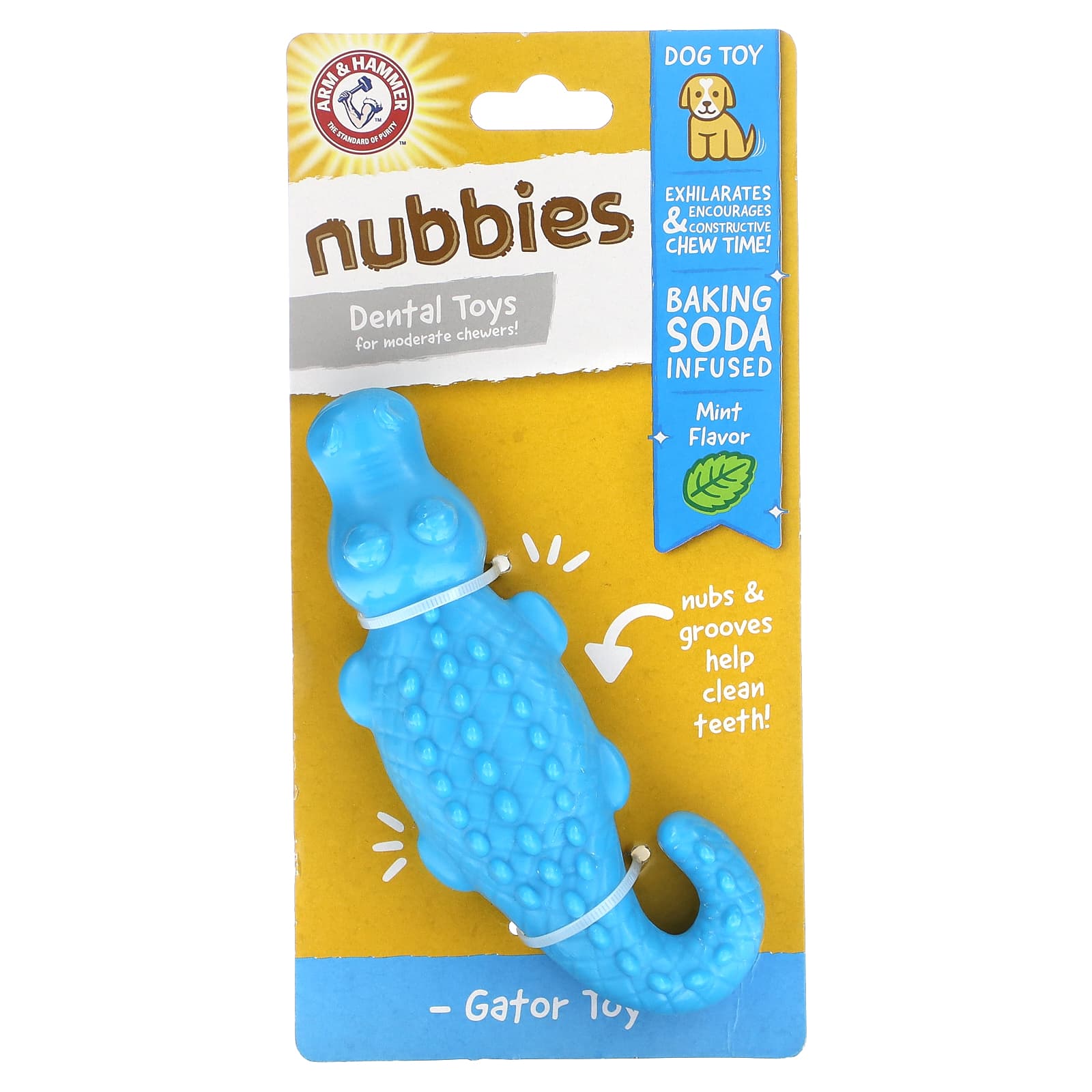 Arm & Hammer-Nubbies-Dental Toys for Moderate Chewers-Gator-Mint-1 Toy