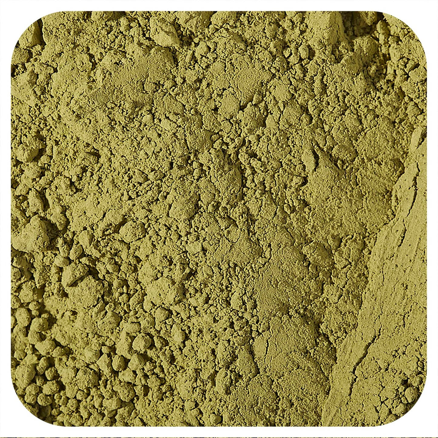 Starwest Botanicals-Organic Matcha Tea Powder-1 lb (453.6 g)