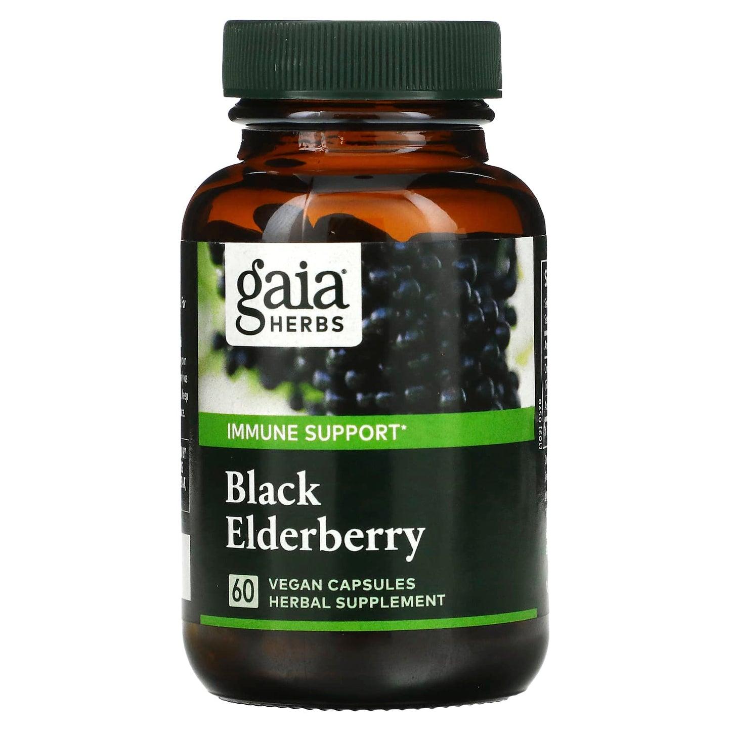 Gaia Herbs, Black Elderberry with Acerola Fruit, 60 Vegan Capsules