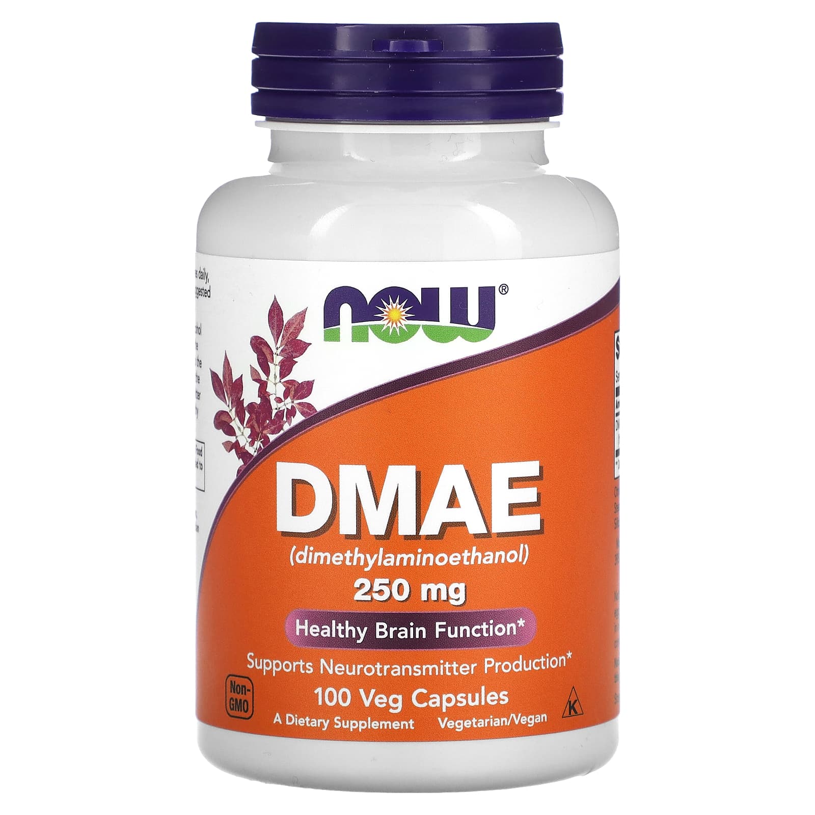 NOW Foods-DMAE-250 mg-100 Veg Capsules