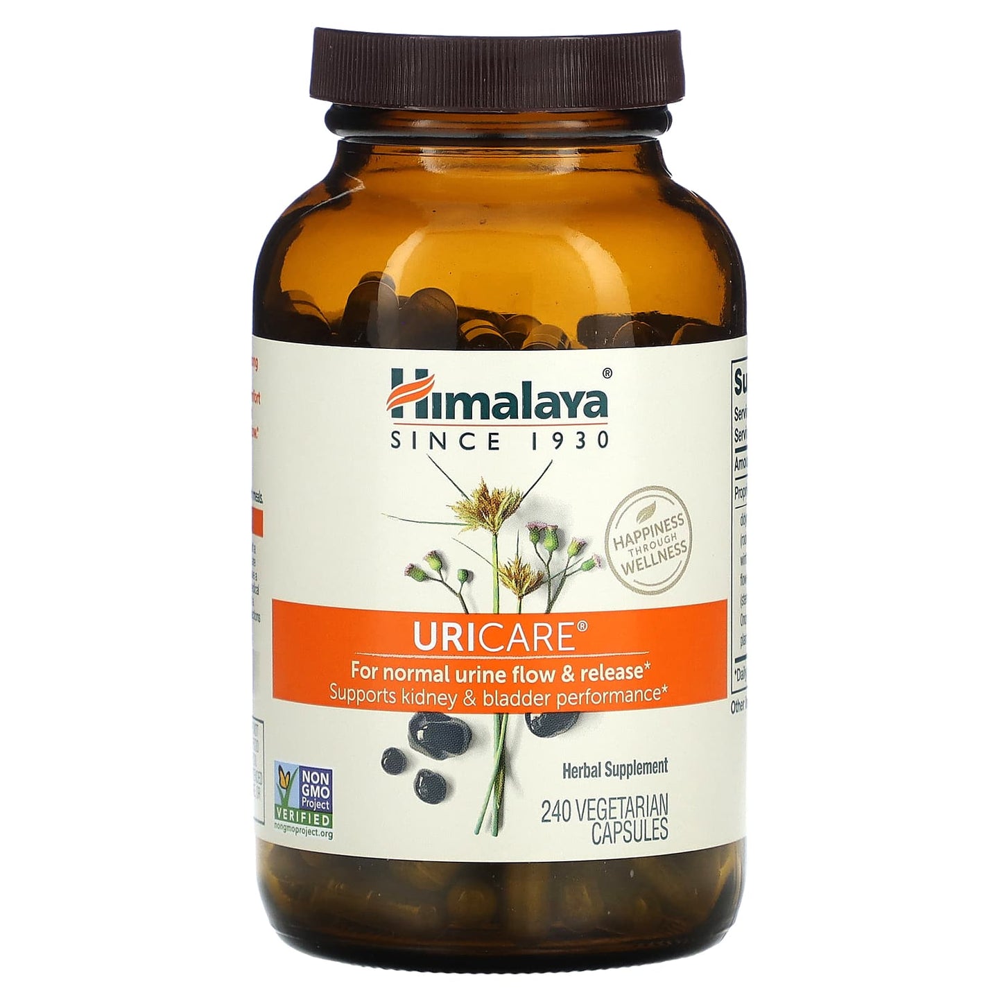 Himalaya, UriCare, 240 Vegetarian Capsules