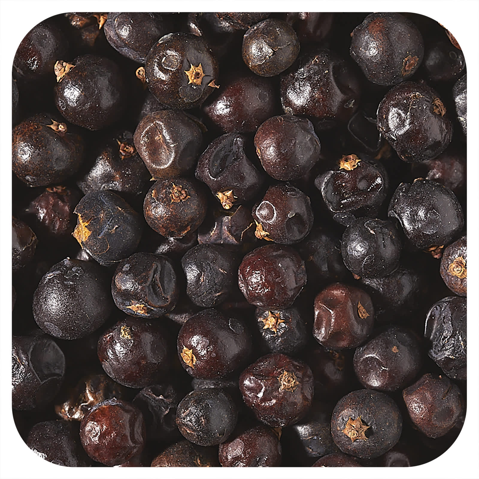 Starwest Botanicals-Organic Juniper Berries-1 lb (453.6 g)