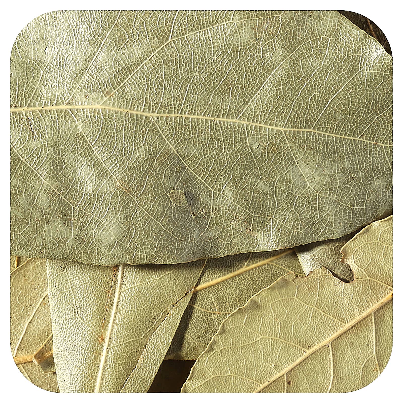 Frontier Co-op-Organic Whole Bay Leaf-8 oz (226 g)