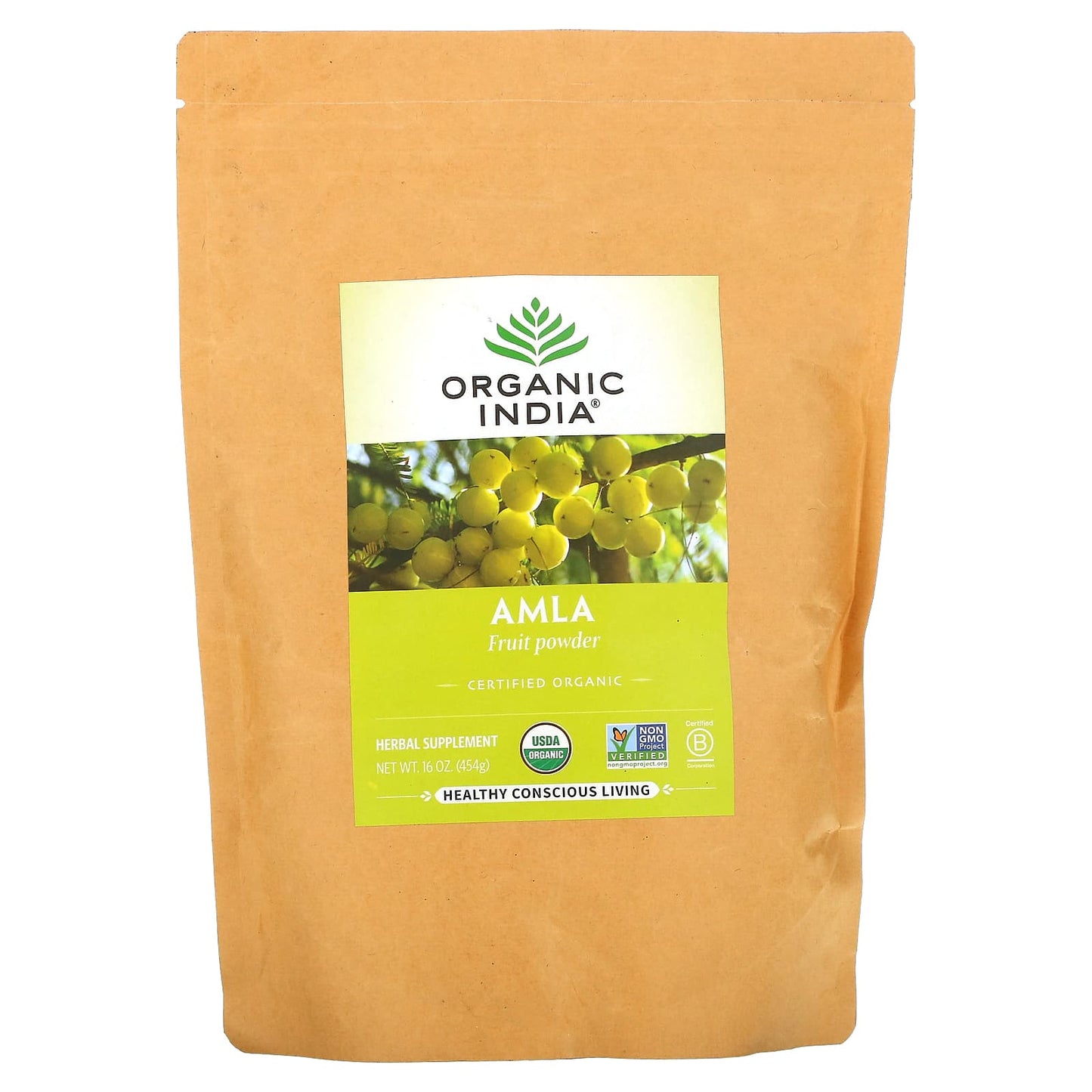 Organic India-Amla Fruit Powder-16 oz (454 g)