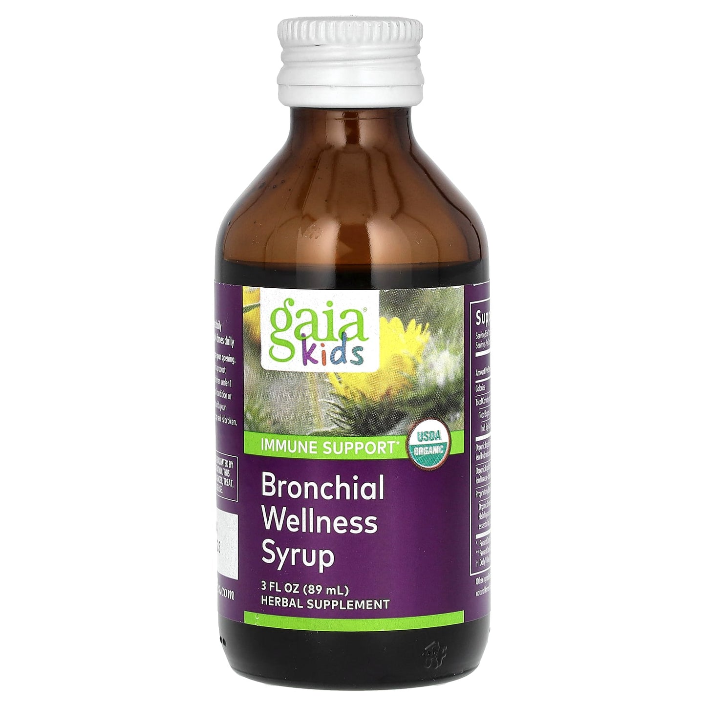 Gaia Herbs, Kids, Bronchial Wellness Syrup , 3 fl oz (89 ml)