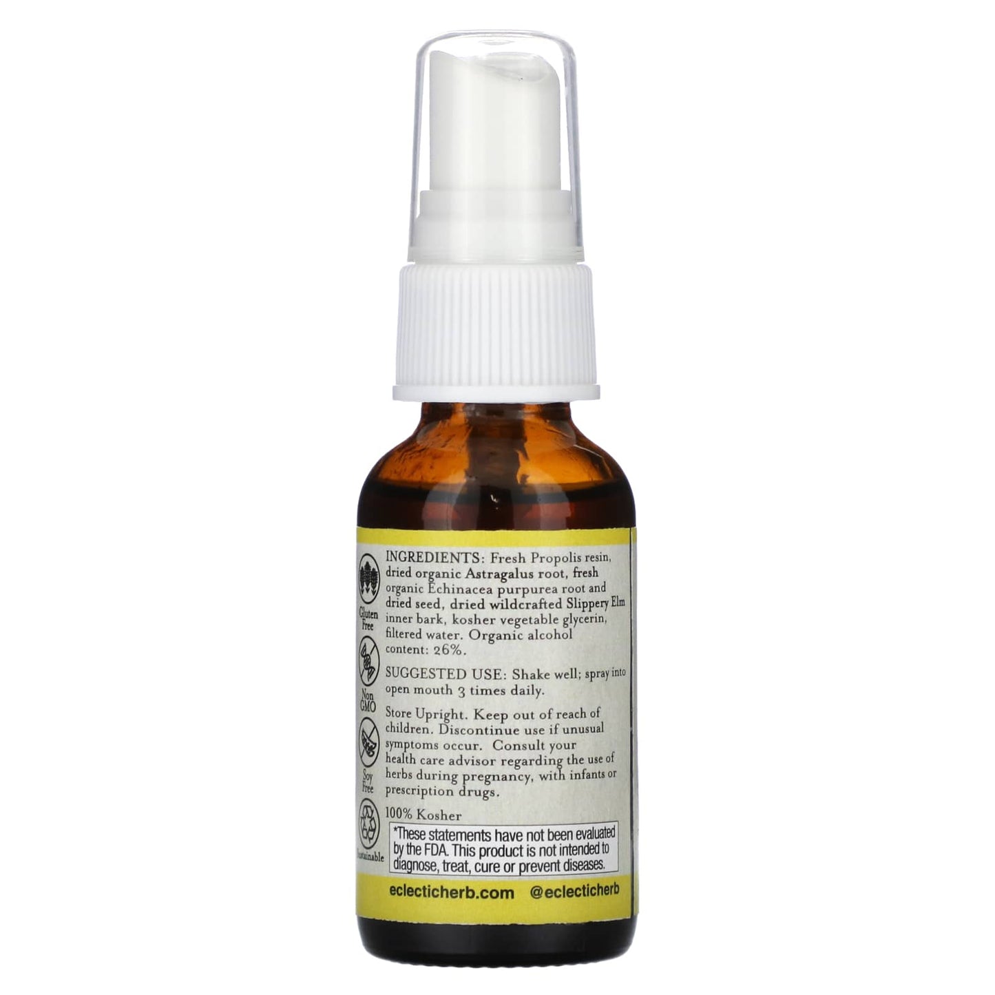 Eclectic Institute, Kid's Throat Spray, Propolis Astragalus, 1 fl oz (30 ml)