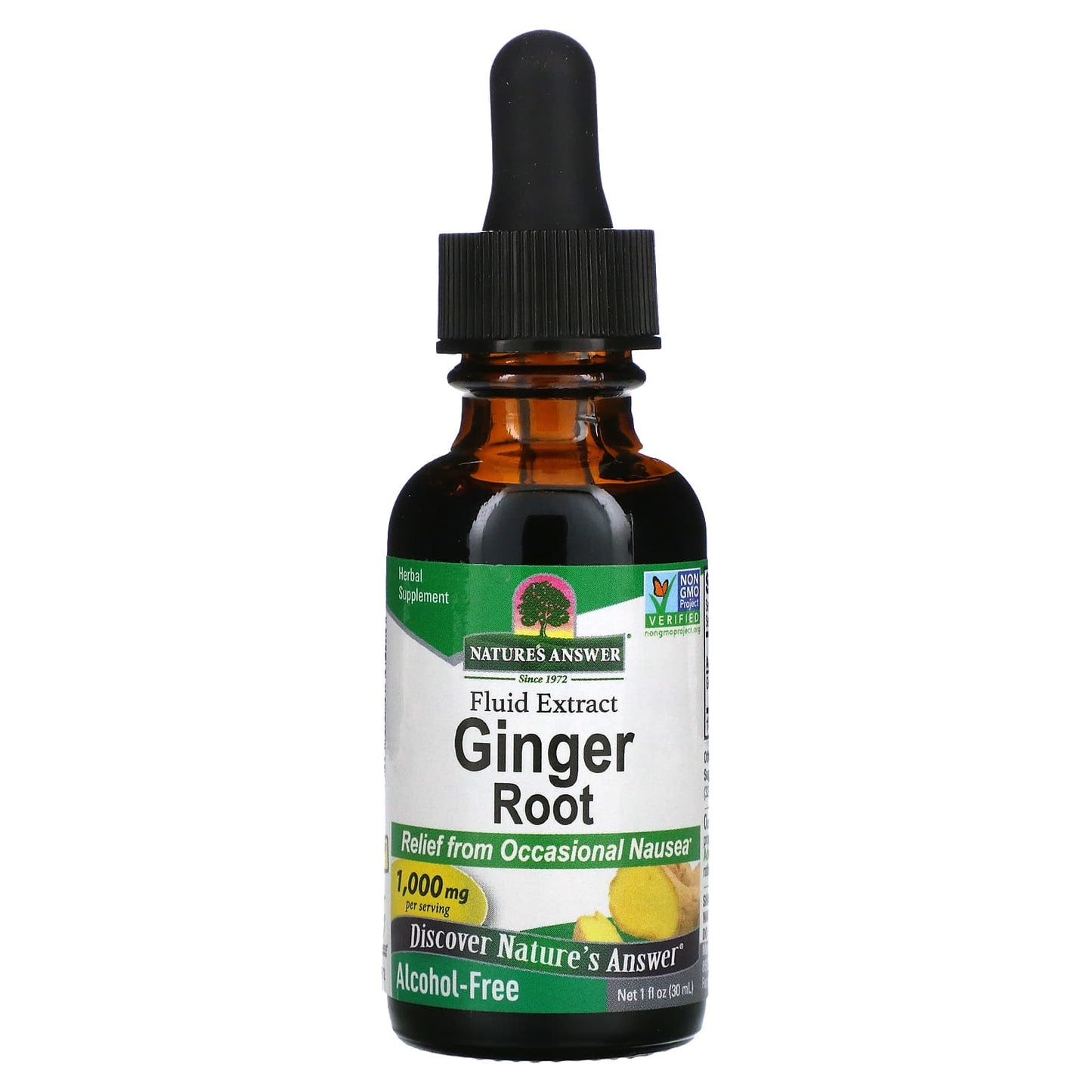 Nature's Answer-Ginger Root-Fluid Extract-Alcohol-Free-1,000 mg-1 fl oz (30 ml)