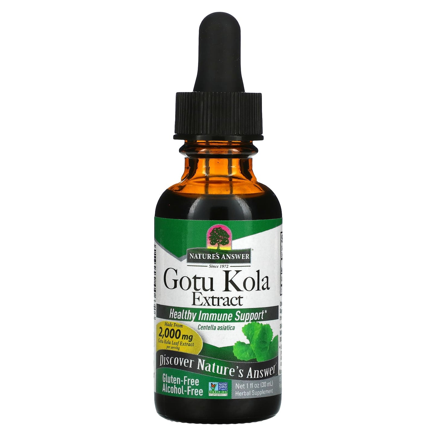 Nature's Answer-Gotu Kola Extract-Alcohol-Free-2,000 mg-1 fl oz (30 ml)