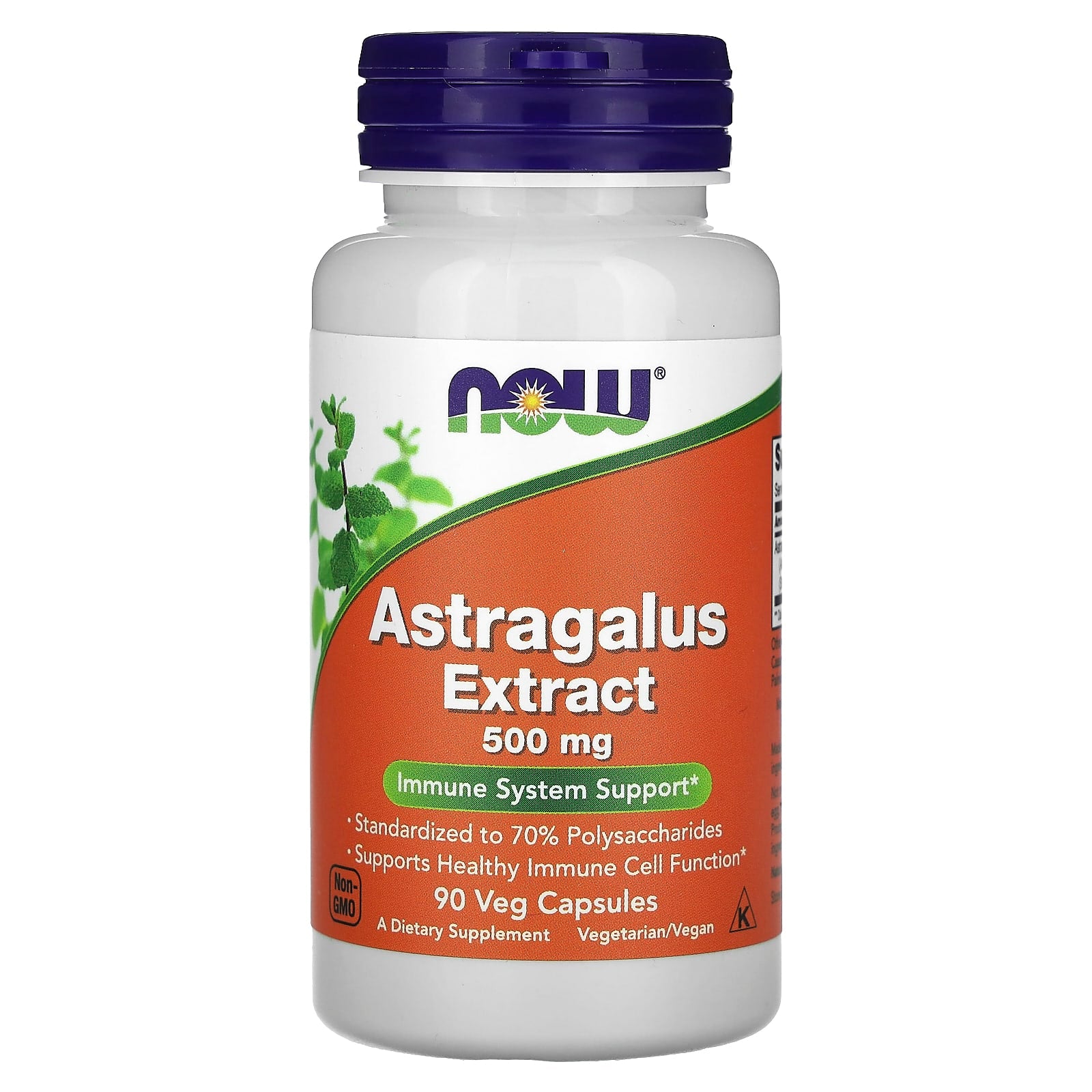 NOW Foods-Astragalus Extract-500 mg-90 Veg Capsules