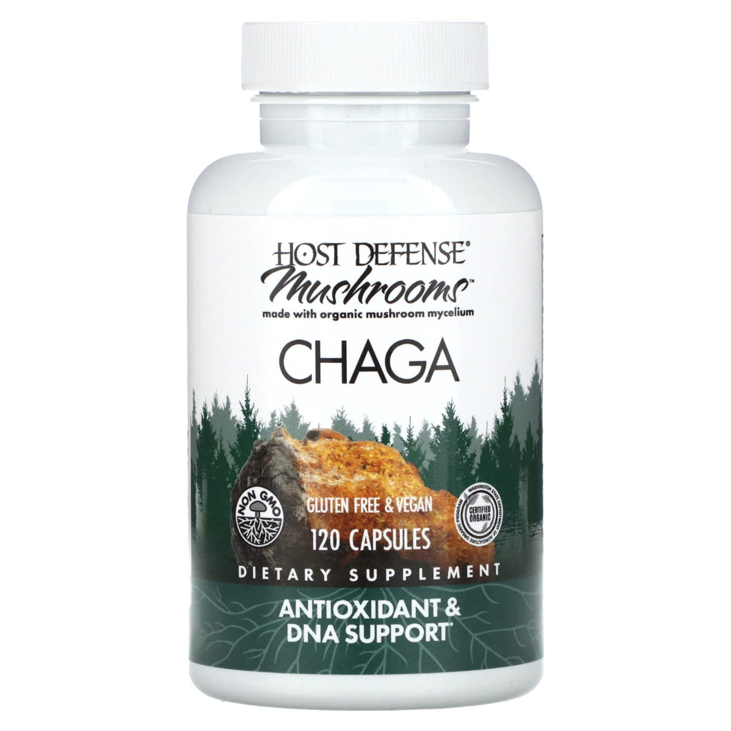 Fungi Perfecti, Mushrooms, Chaga, 120  Capsules