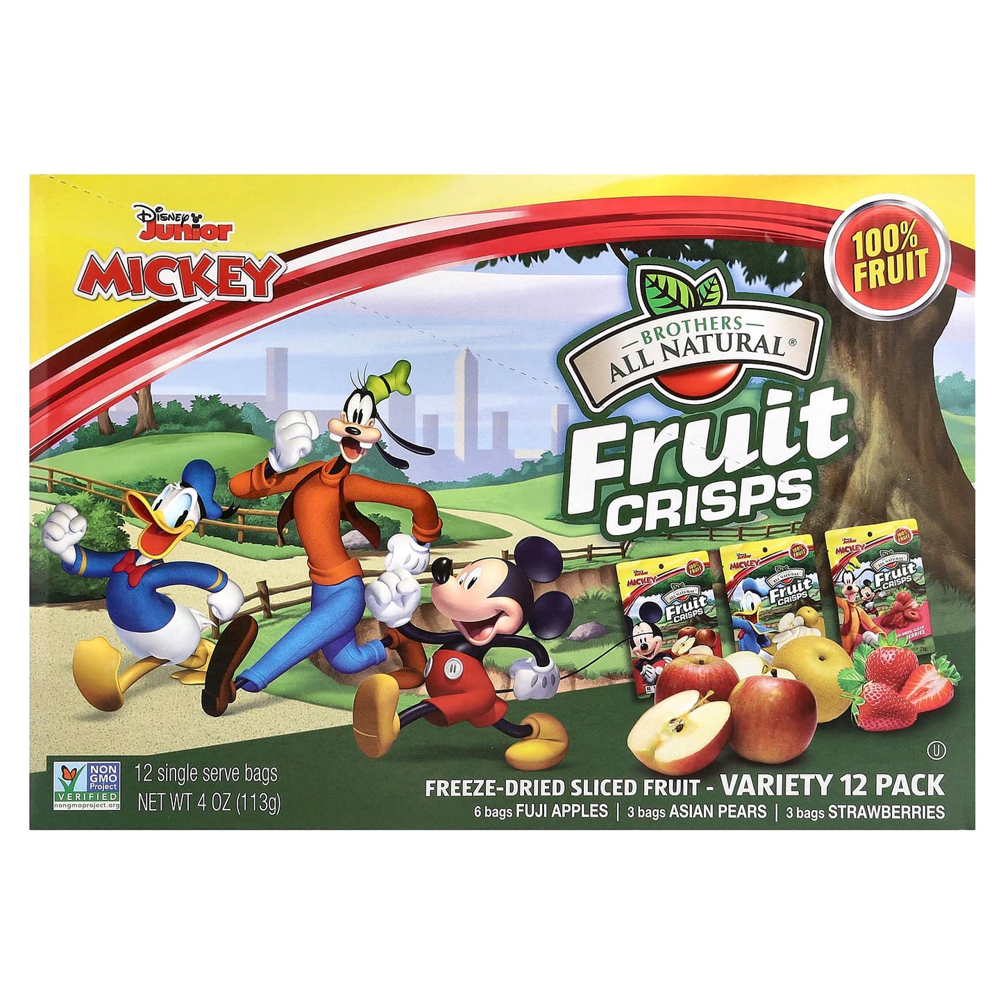 Brothers-All-Natural-Disney Junior Fruit Crisps-Variety Pack-12 Single Serve Bags-4 oz (113 g)