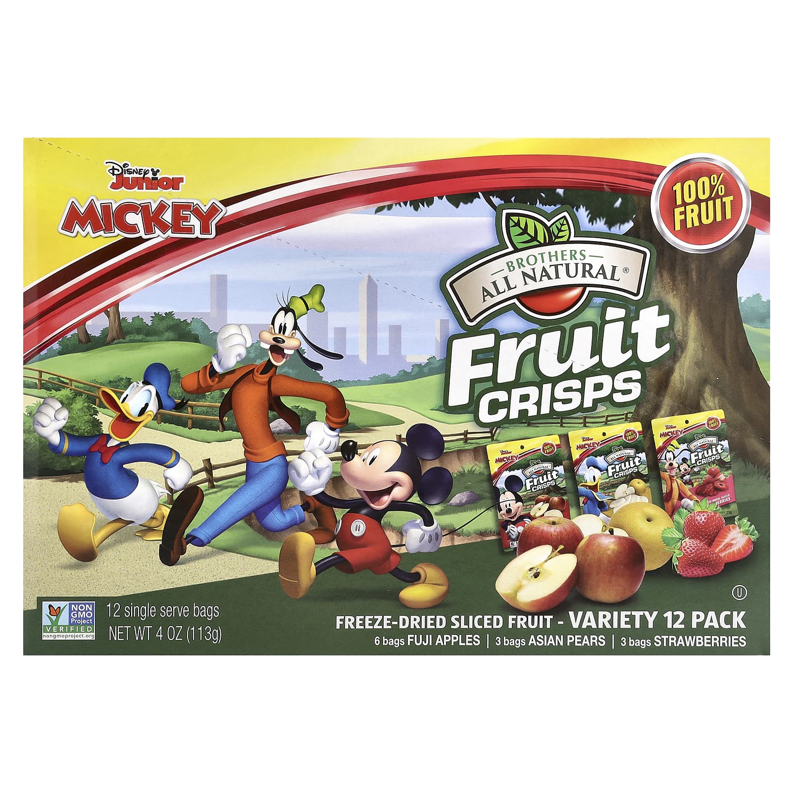 Brothers-All-Natural-Disney Junior Fruit Crisps-Variety Pack-12 Single Serve Bags-4 oz (113 g)