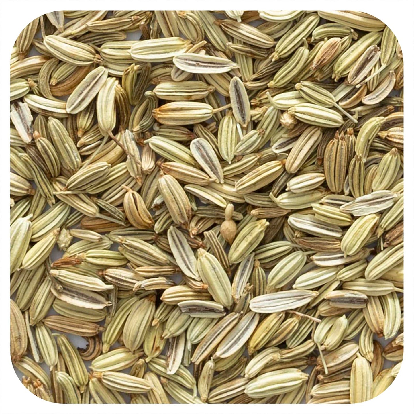 Frontier Co-op-Organic Whole Fennel Seed-16 oz (453 g)